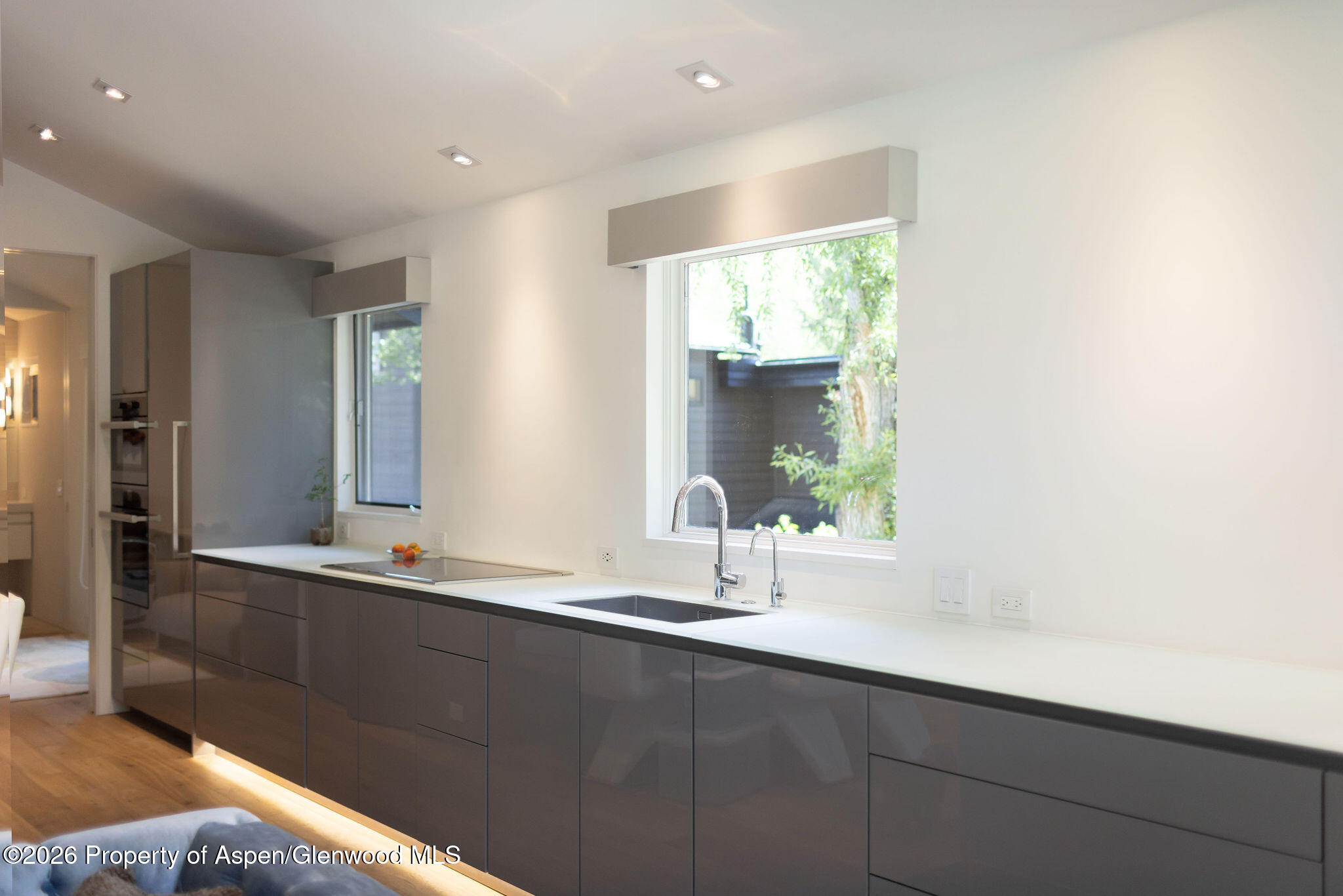 950 E Durant Avenue Aspen CO 81611