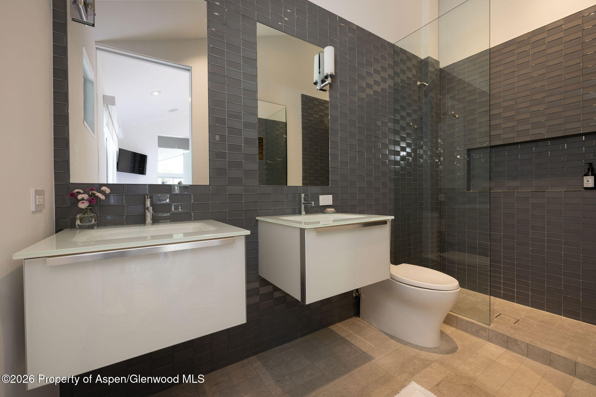 950 E Durant Avenue Aspen CO 81611