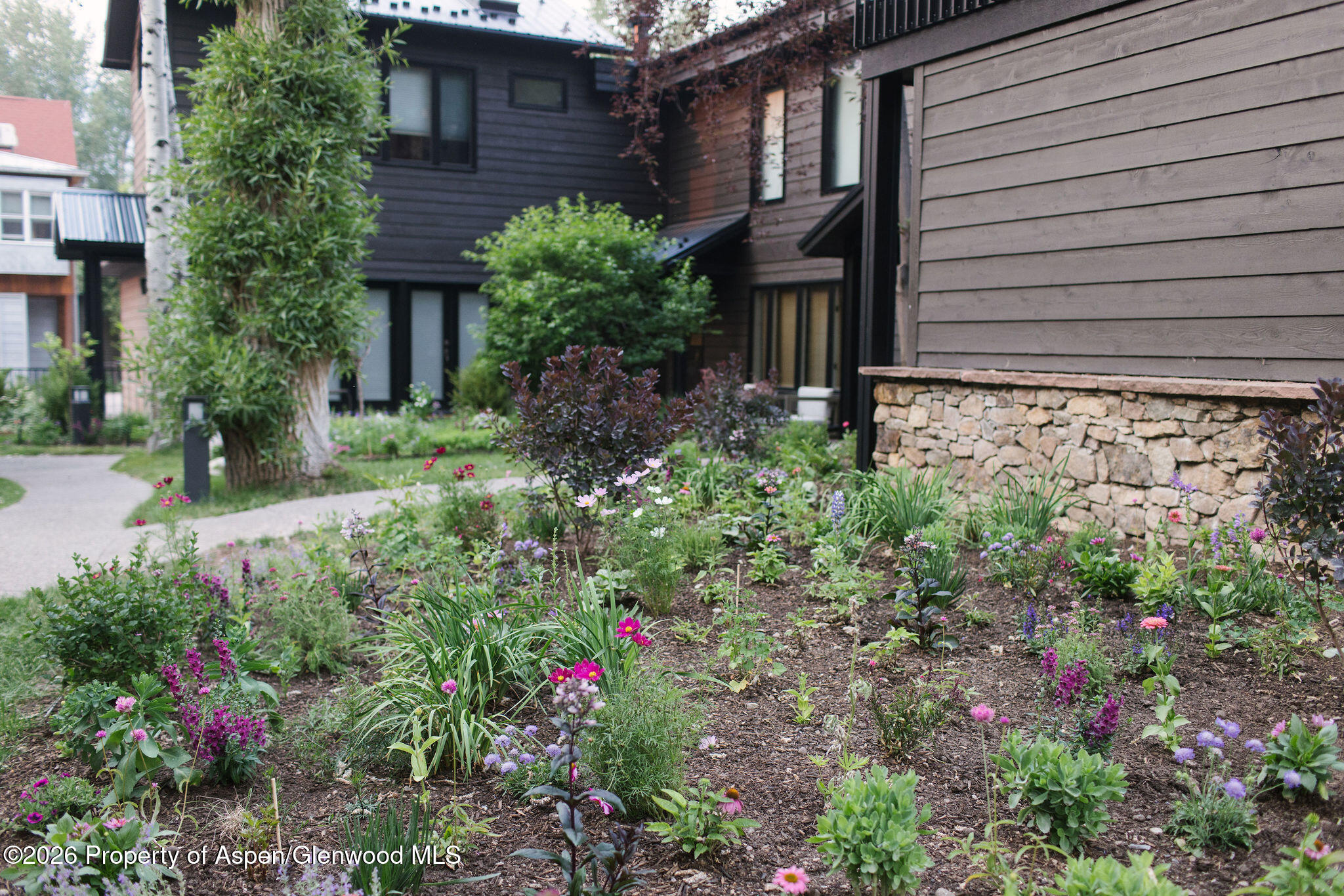 950 E Durant Avenue Aspen CO 81611