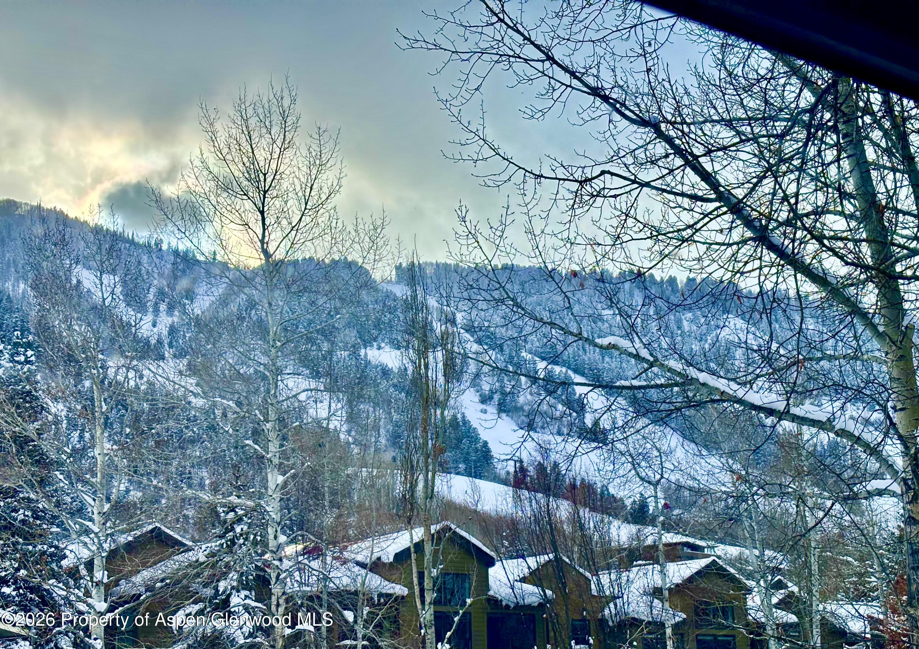 950 E Durant Avenue Aspen CO 81611