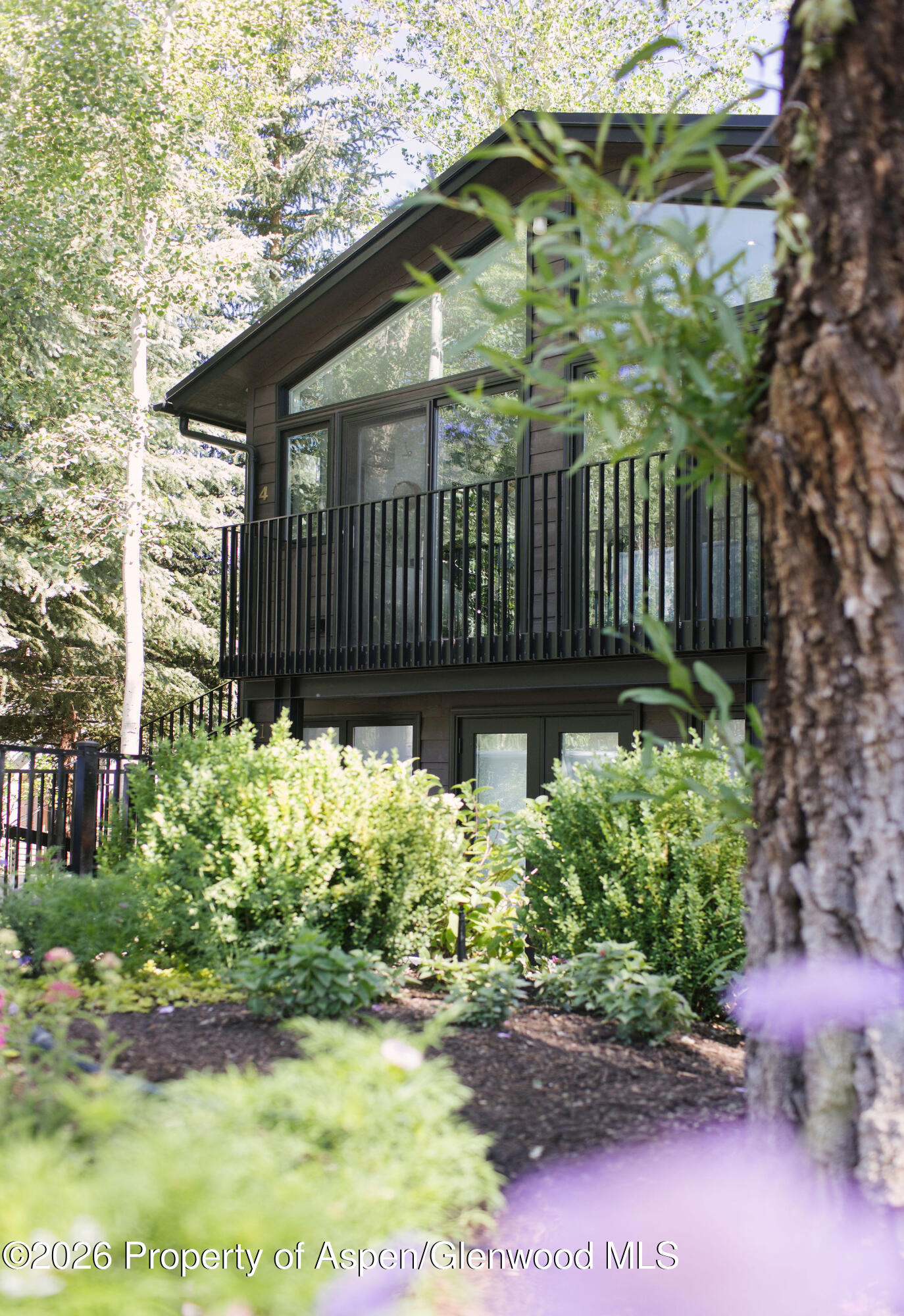 950 E Durant Avenue Aspen CO 81611