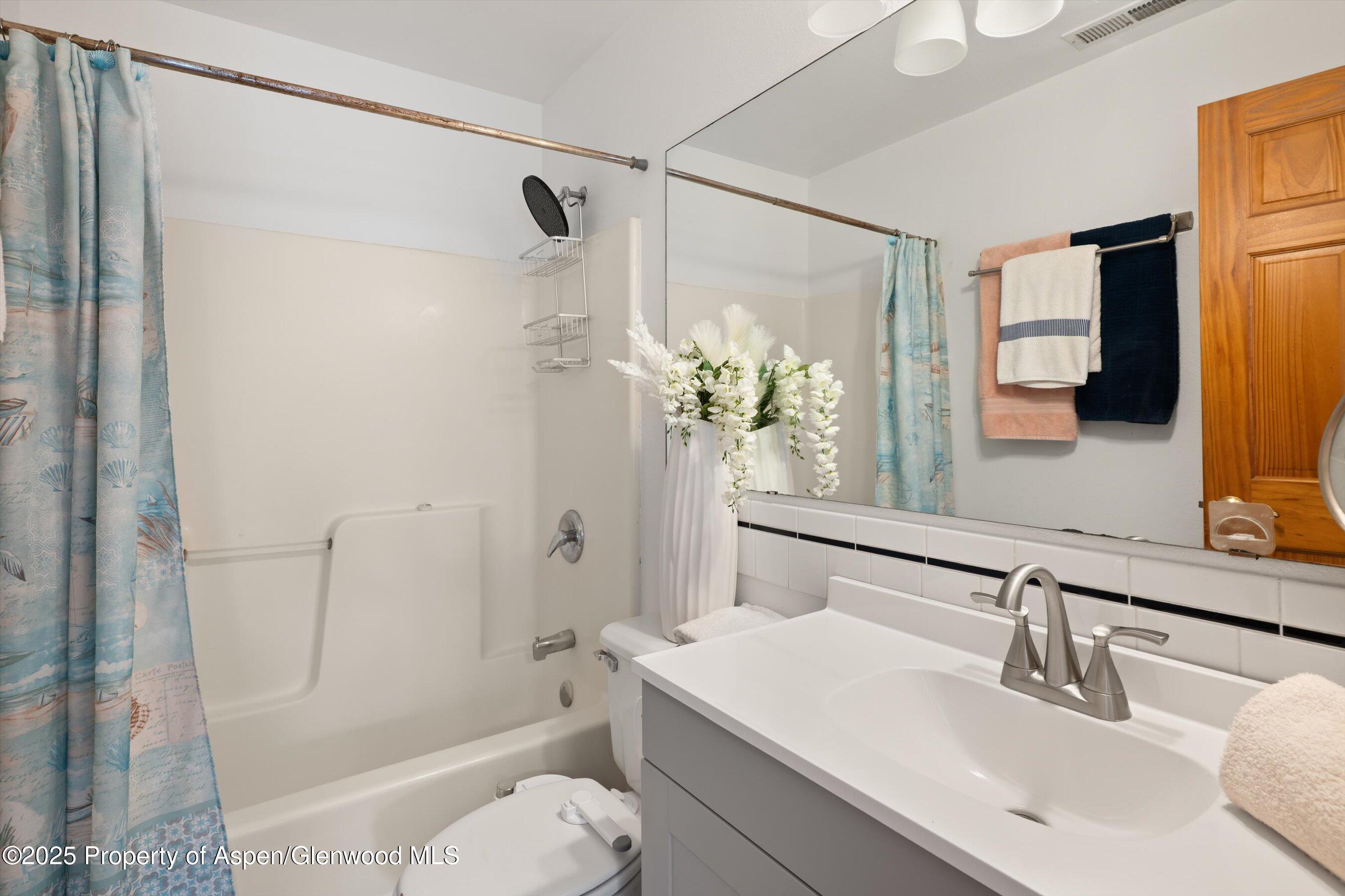 85 Meadowood Drive Carbondale CO 81623