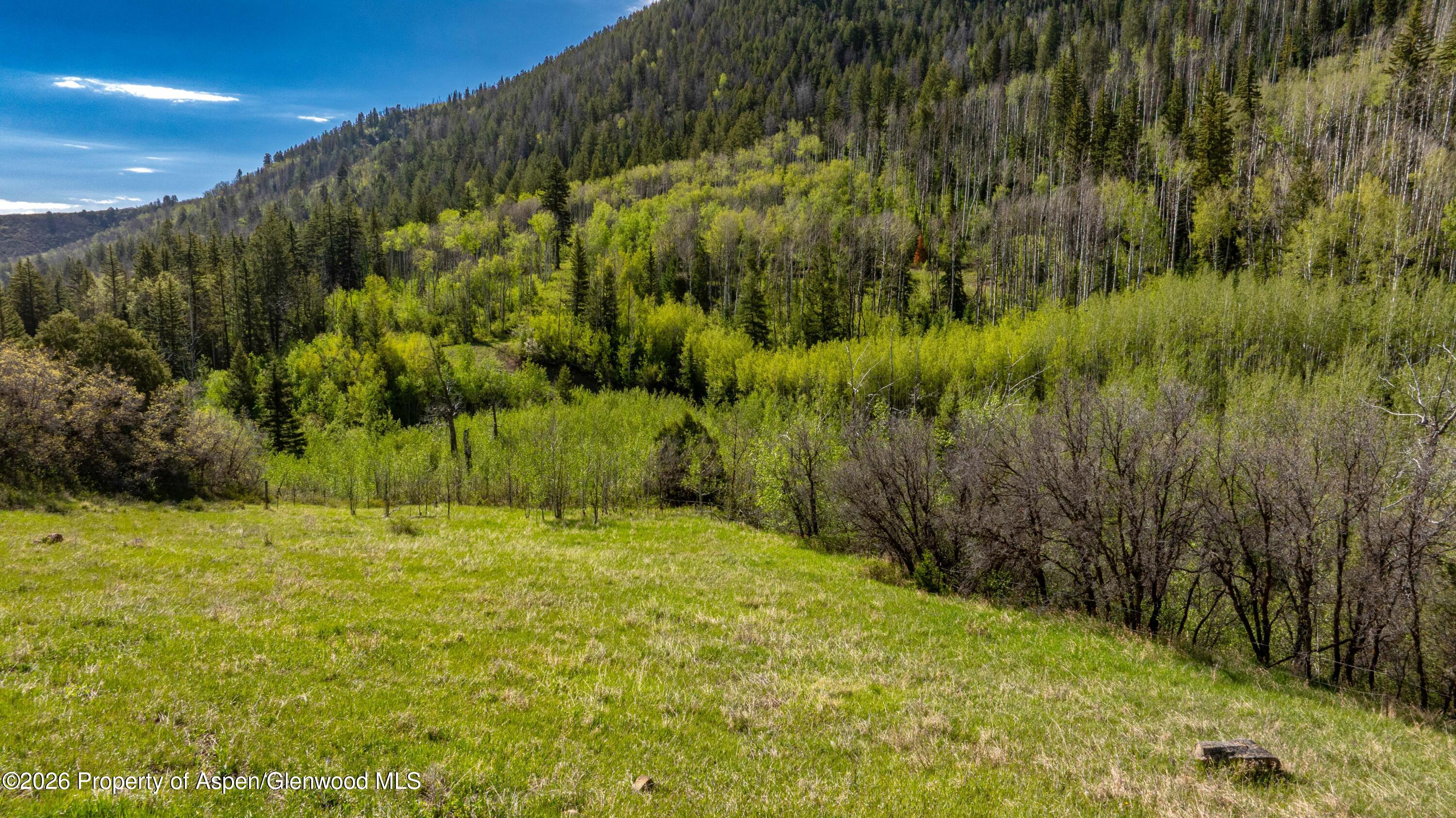 Tbd Forest Service Road 300 Glenwood Springs CO 81601