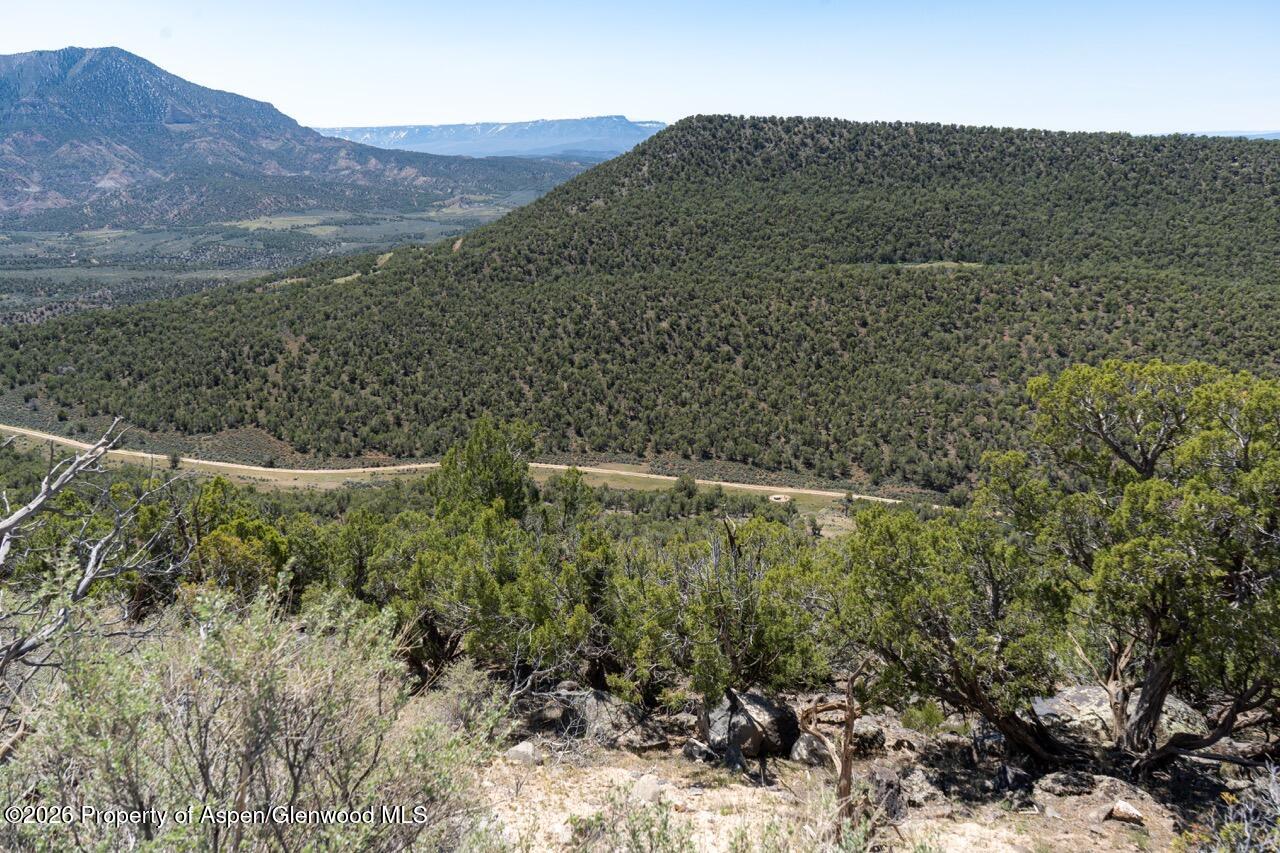 Tbd T Road De Beque CO 81630