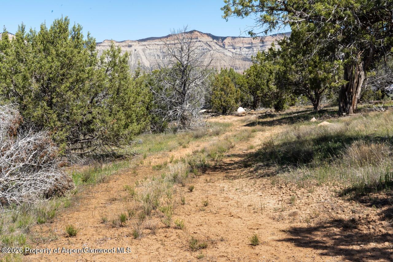 Tbd T Road De Beque CO 81630
