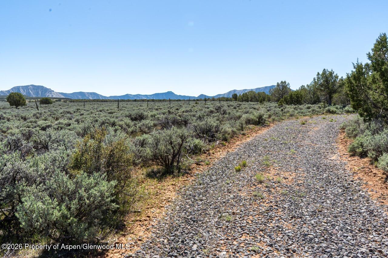 Tbd T Road De Beque CO 81630