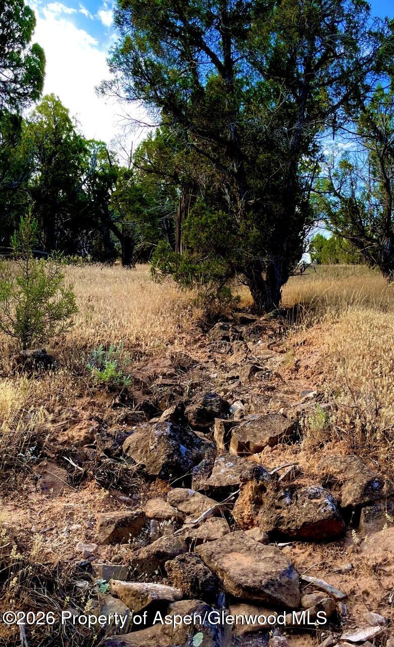 Tbd T Road De Beque CO 81630