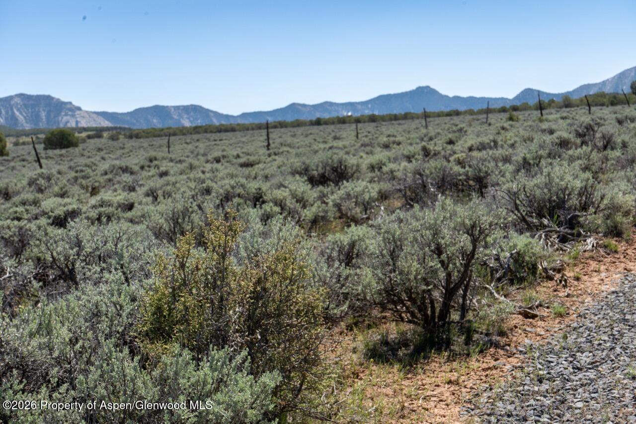 Tbd T Road De Beque CO 81630