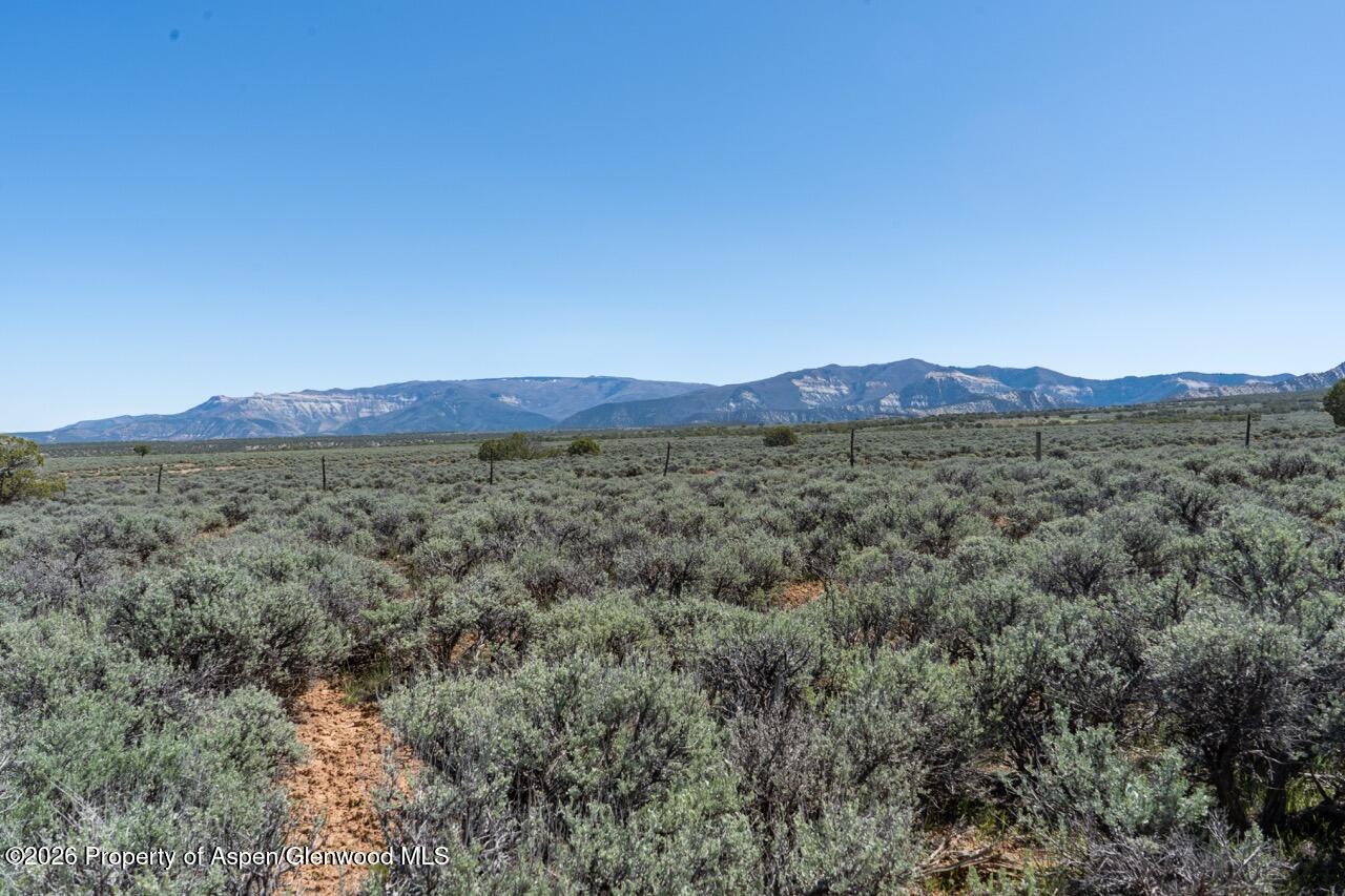 Tbd T Road De Beque CO 81630