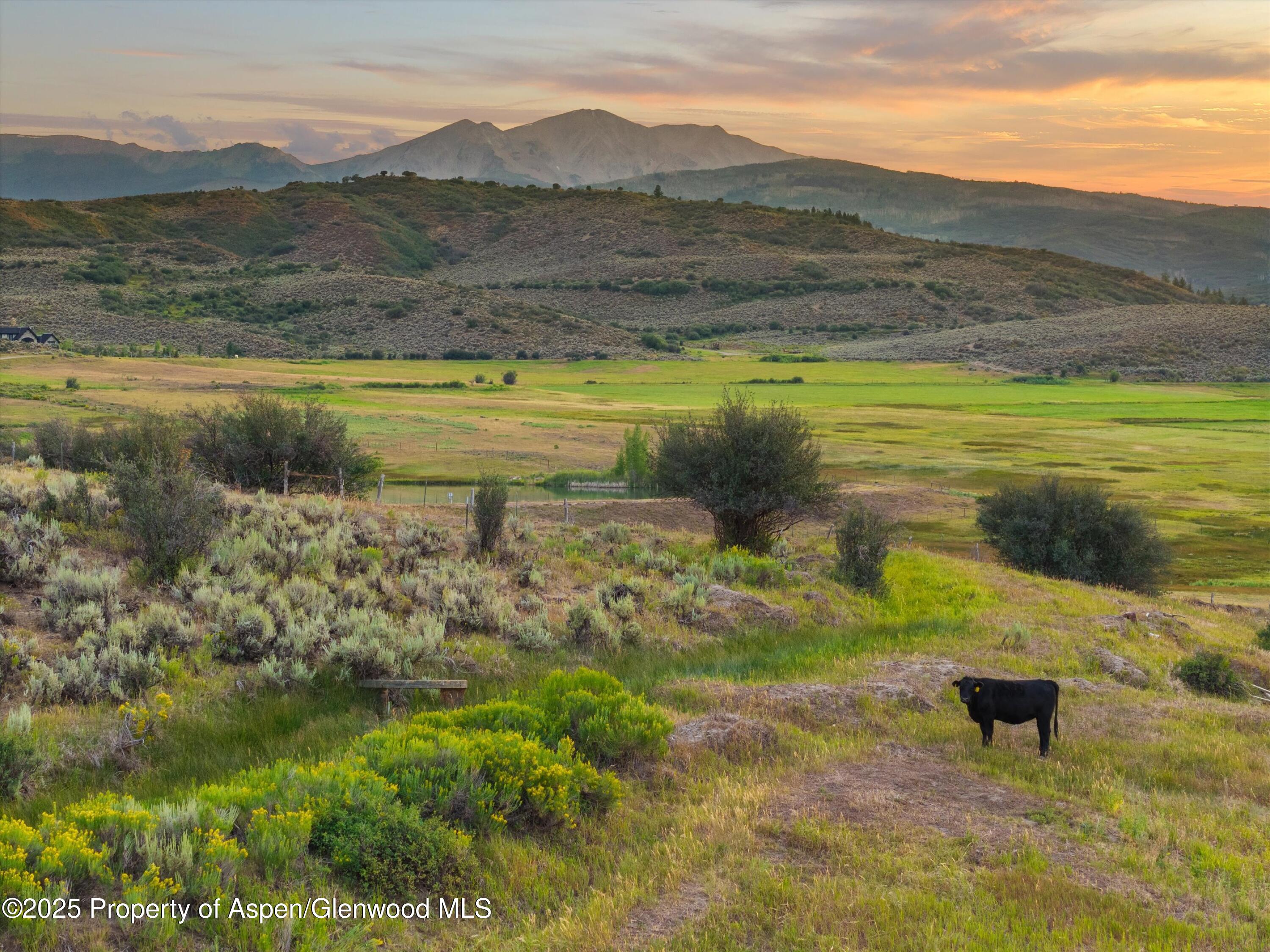 Tbd Lazy O Road Snowmass CO 81654