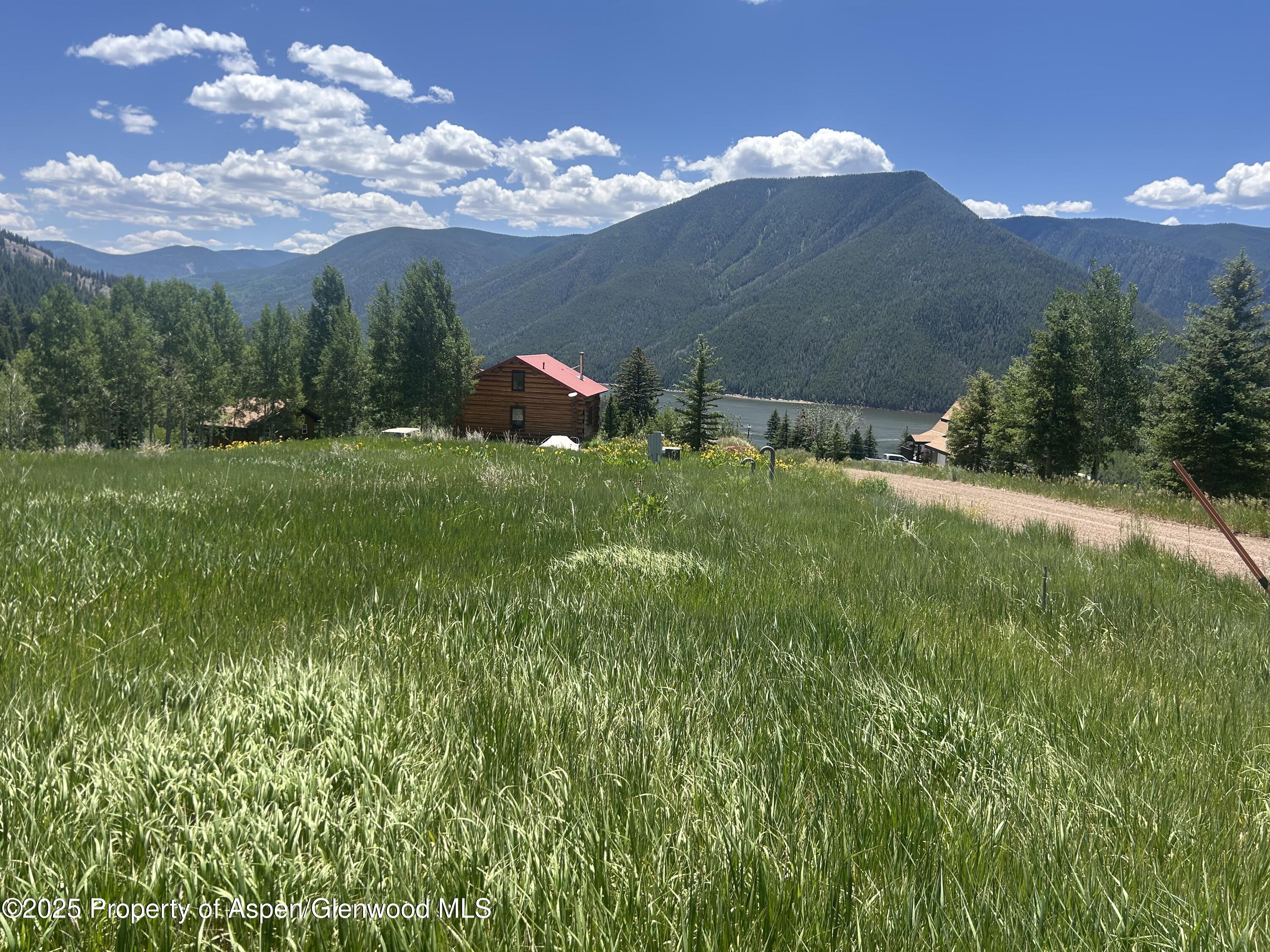 1239 Mclaughlin Lane Basalt CO 81621