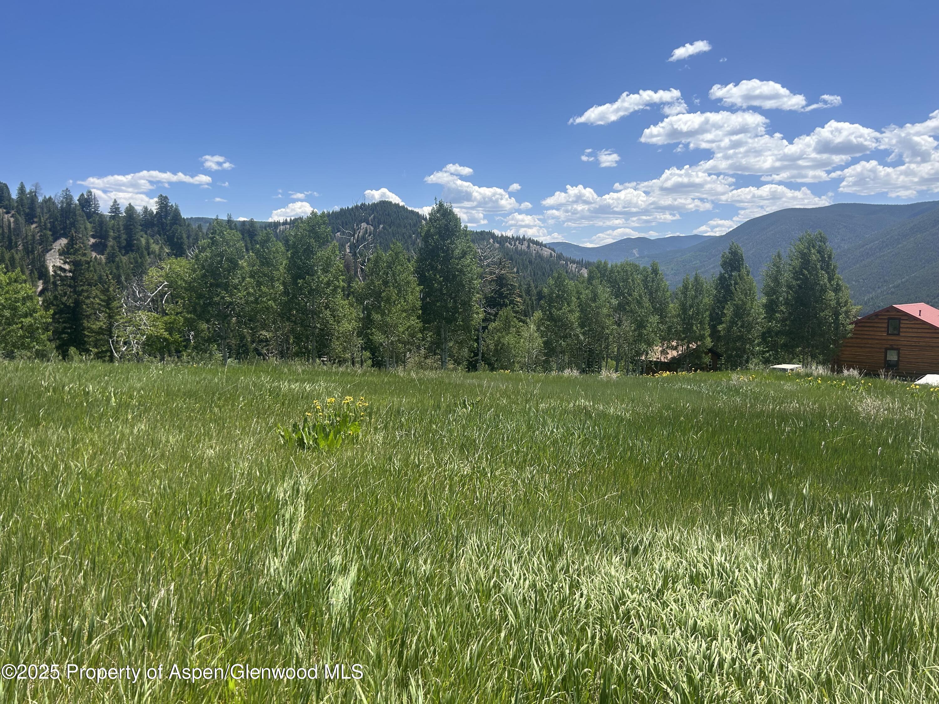 1239 Mclaughlin Lane Basalt CO 81621