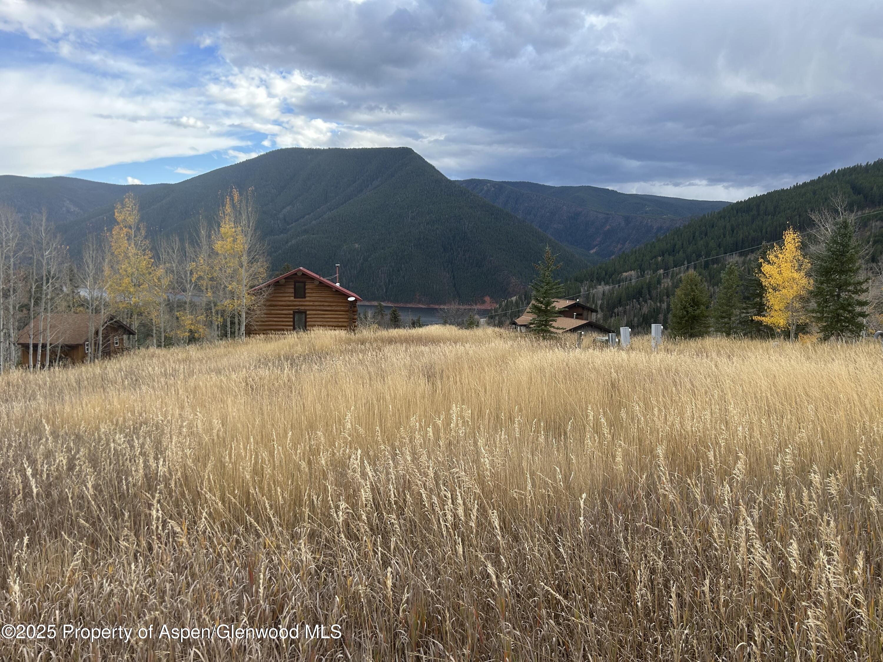 1239 Mclaughlin Lane Basalt CO 81621