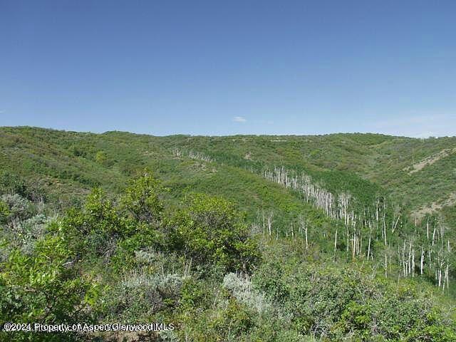 0 Rabbit Way Snowmass CO 81654