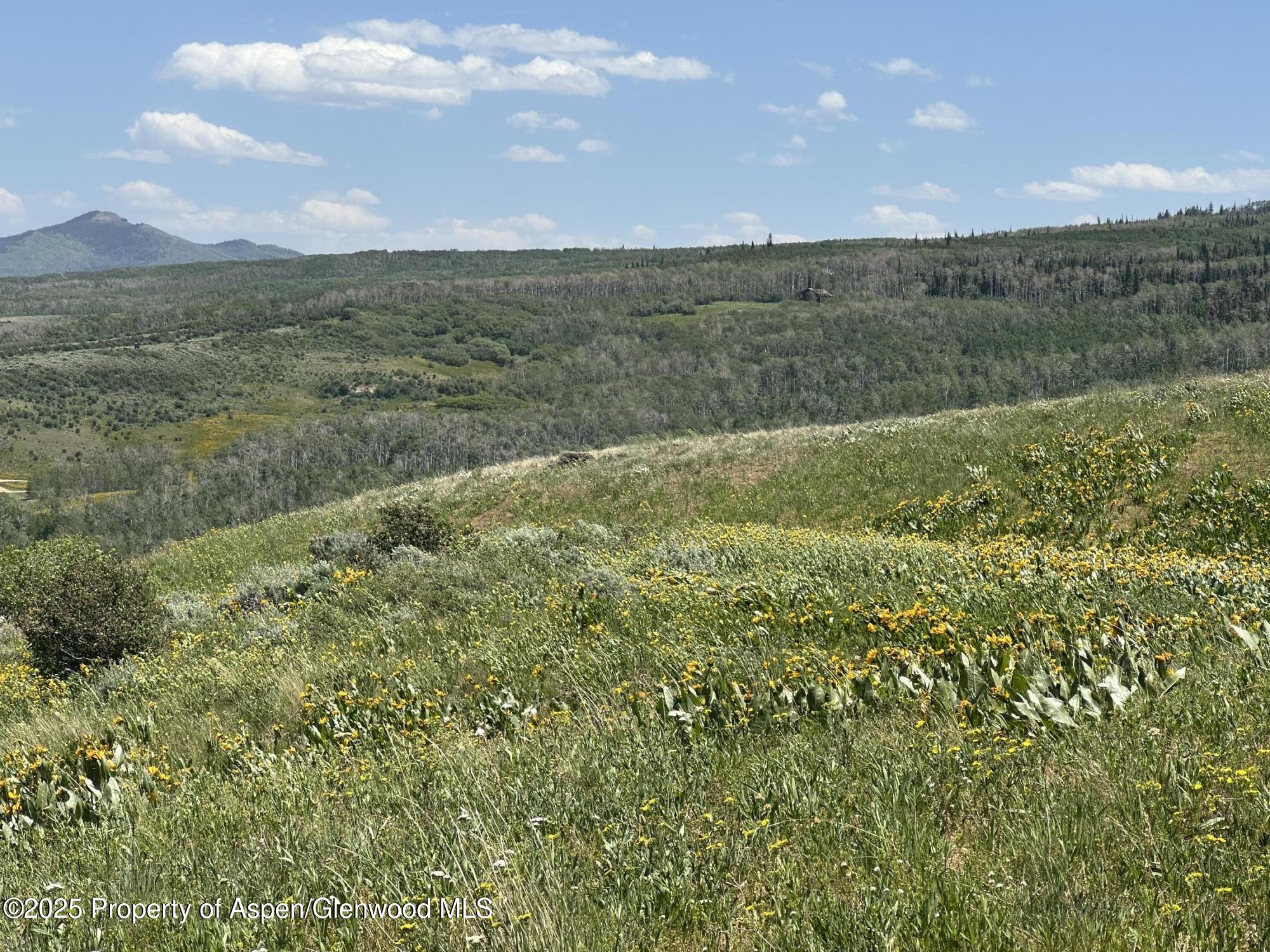 2964 Timberlane Drive Craig CO 81625