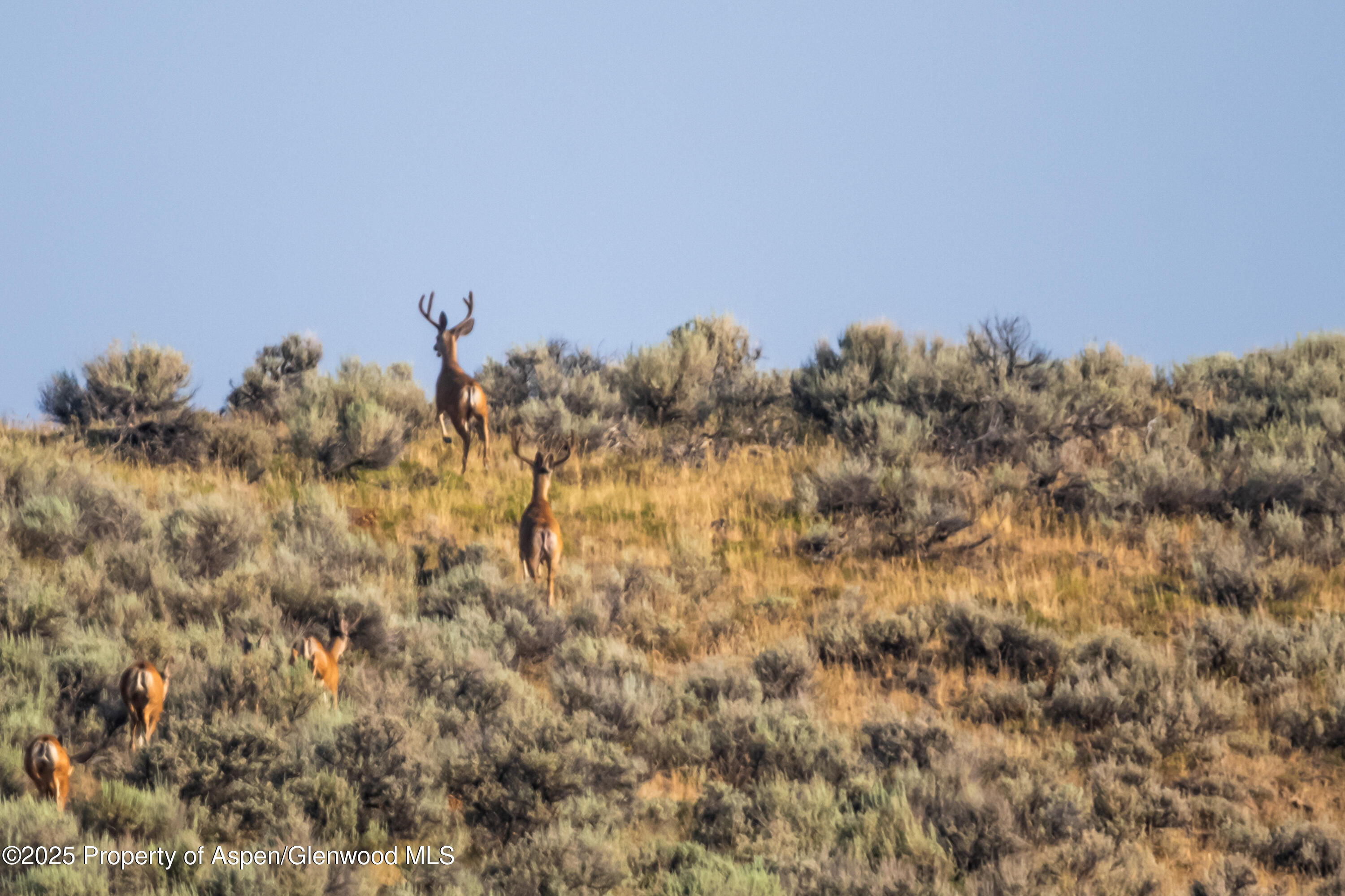 Tbd Cr 29 Craig CO 81625