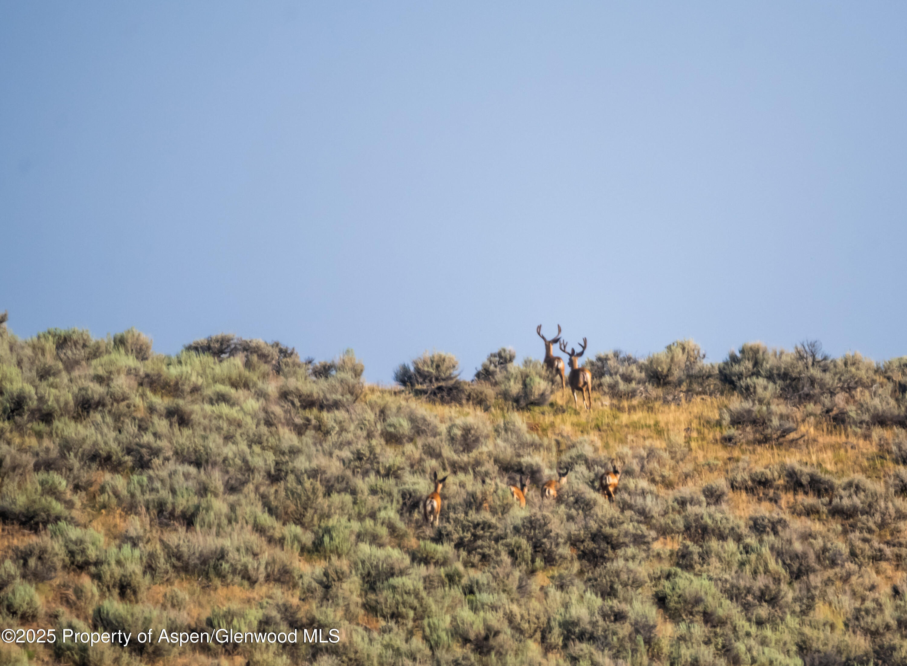 Tbd Cr 29 Craig CO 81625