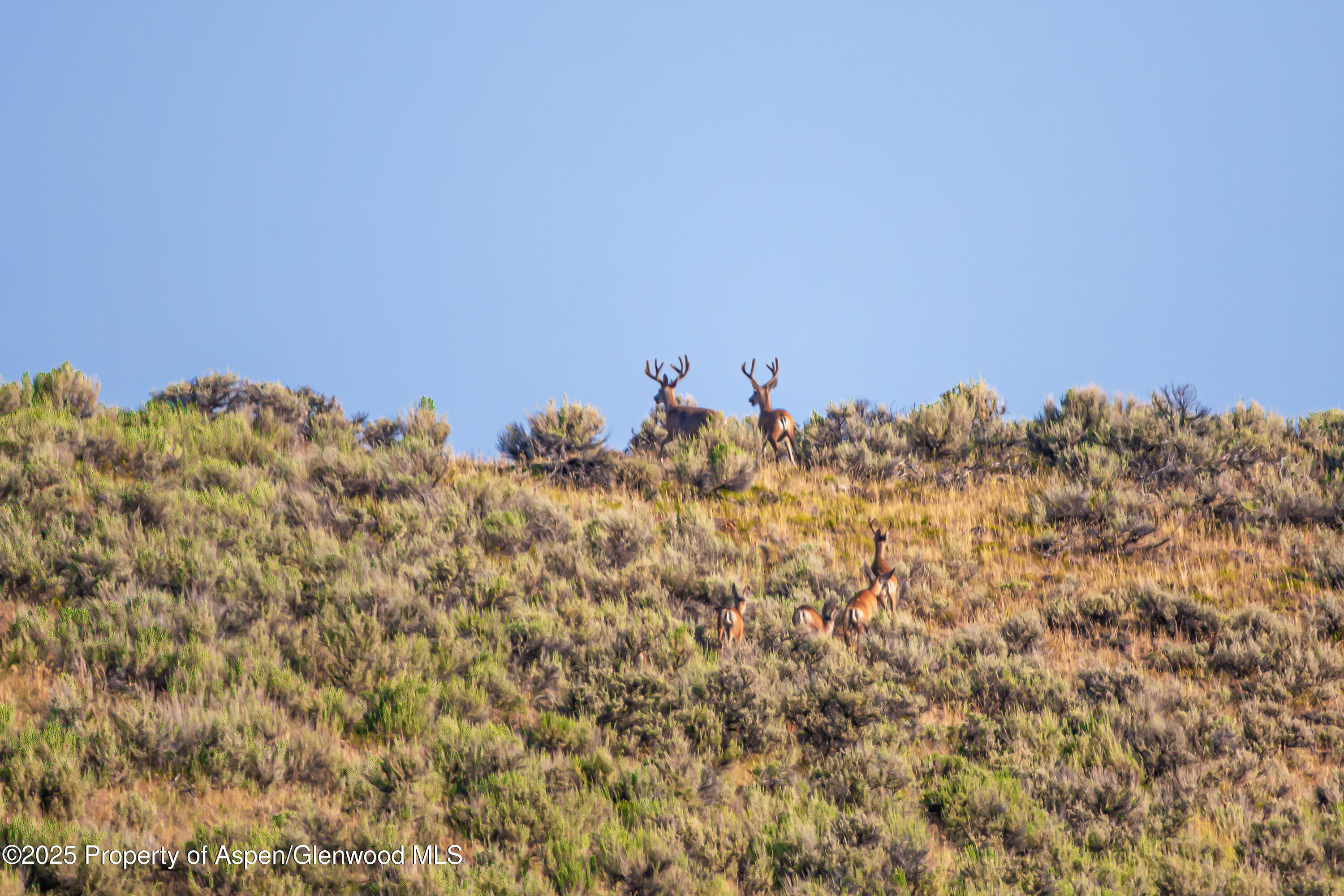 Tbd Cr 29 Craig CO 81625