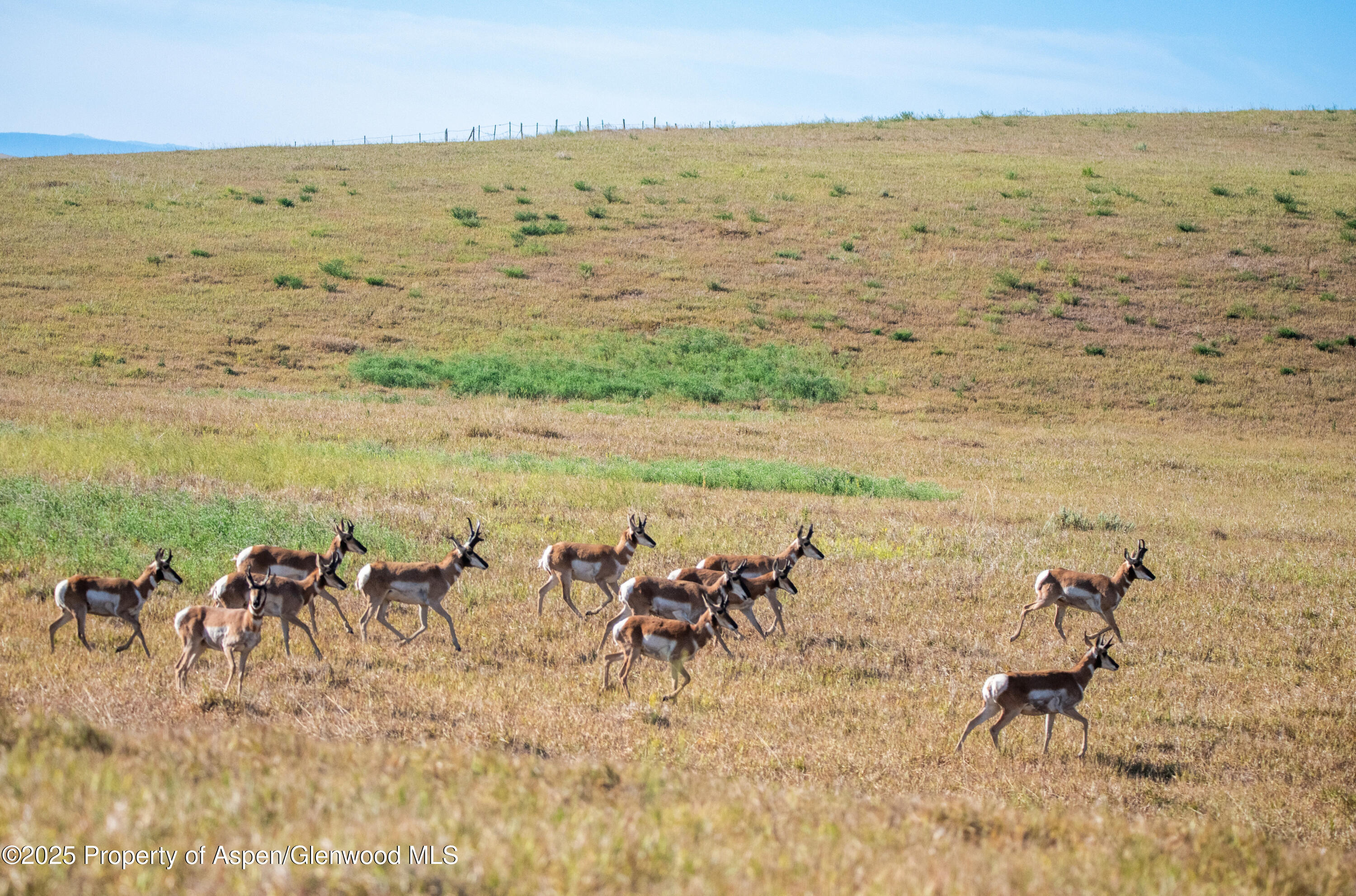 Tbd Cr 29 Craig CO 81625