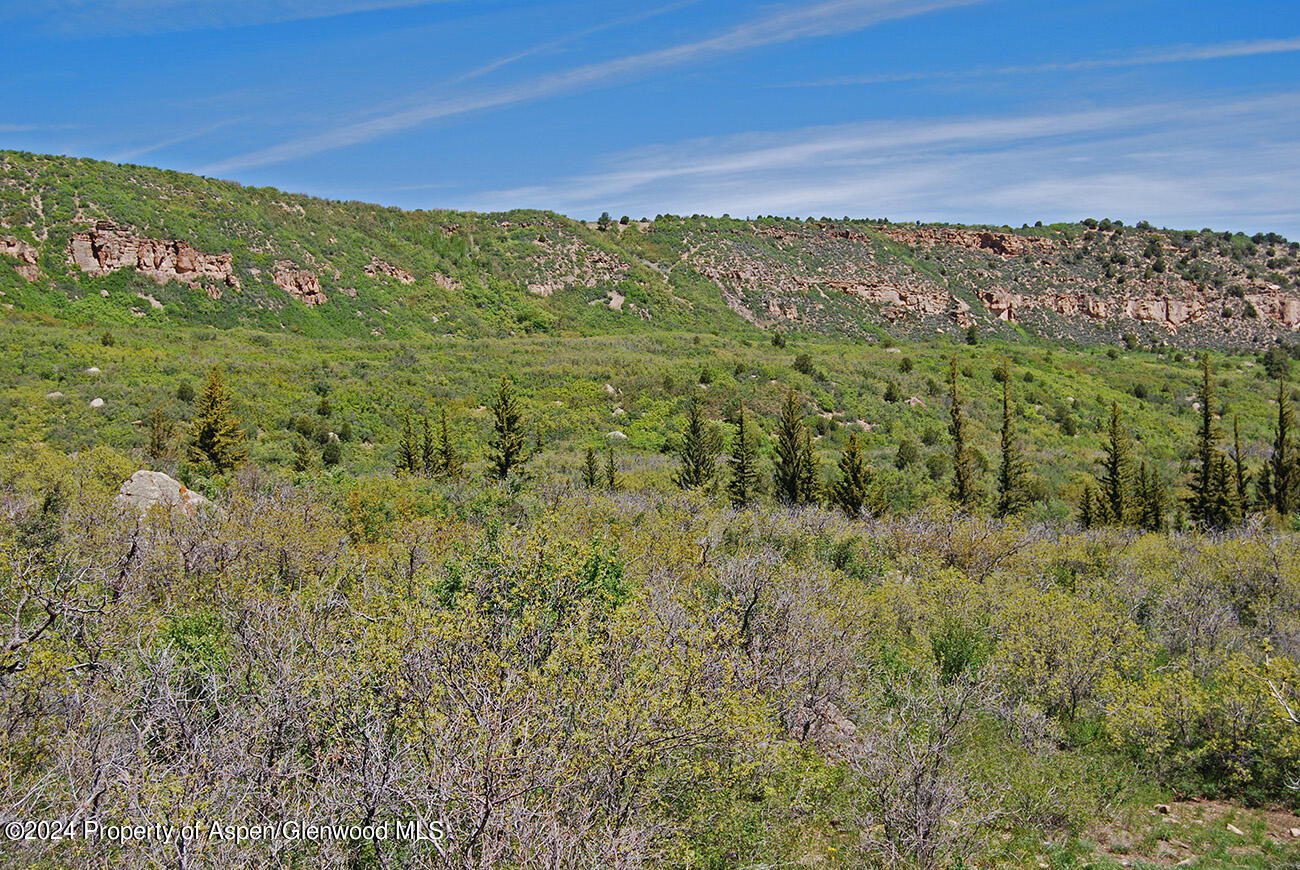 Tbd Old Highway 90 Montrose CO 81403