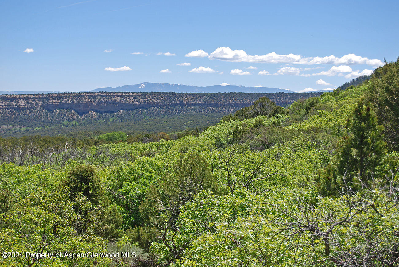 Tbd Old Highway 90 Montrose CO 81403