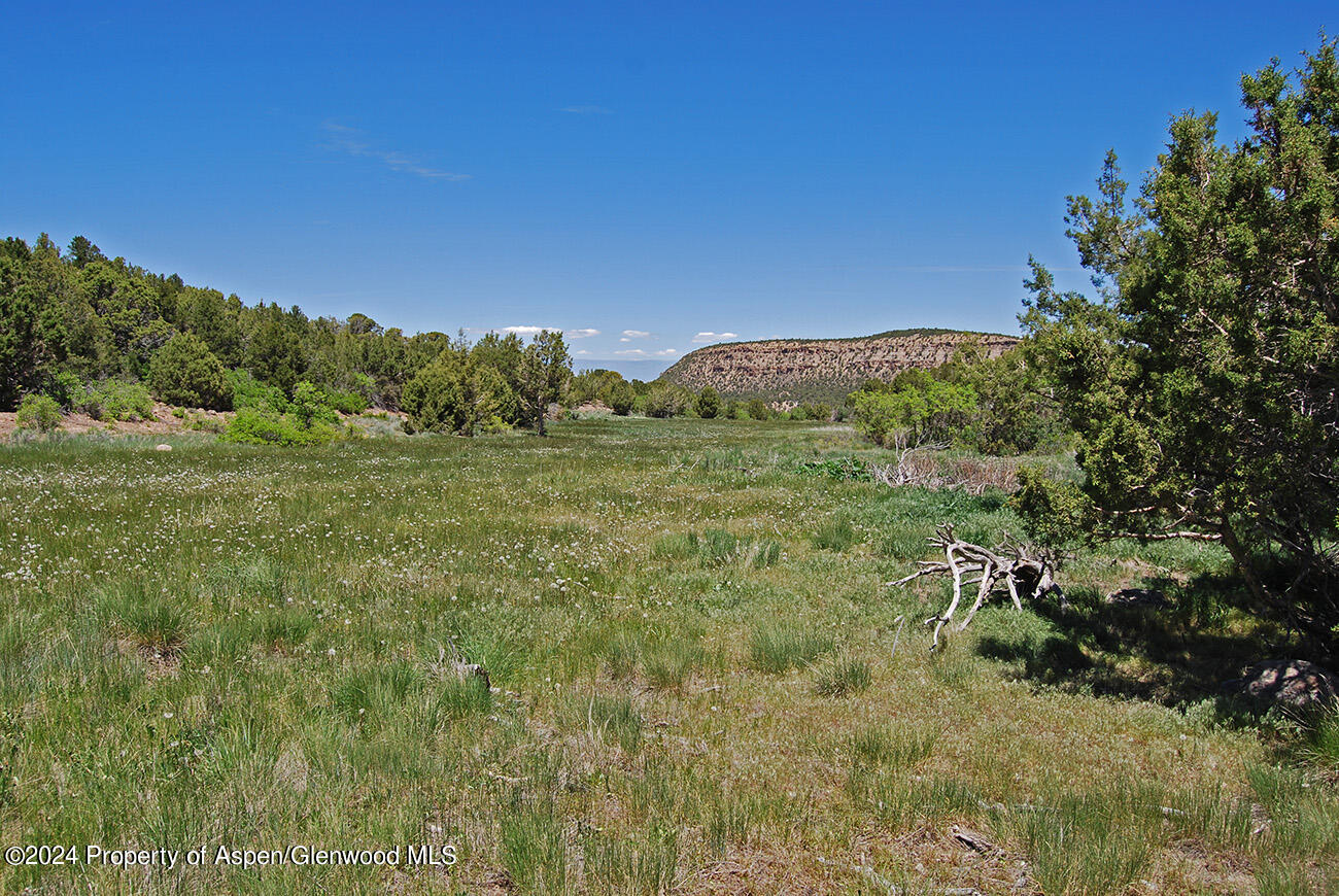 Tbd Old Highway 90 Montrose CO 81403