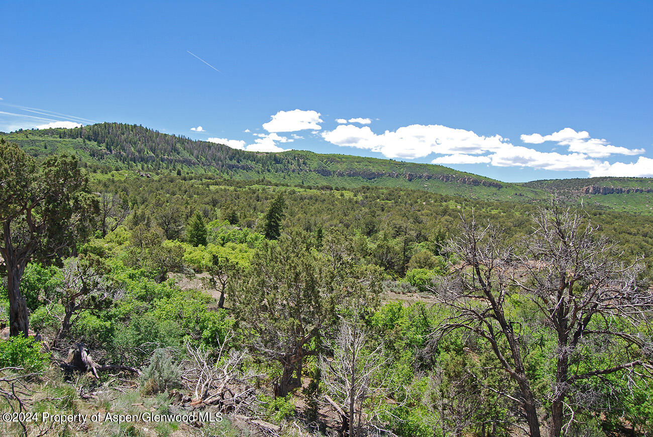 Tbd Old Highway 90 Montrose CO 81403