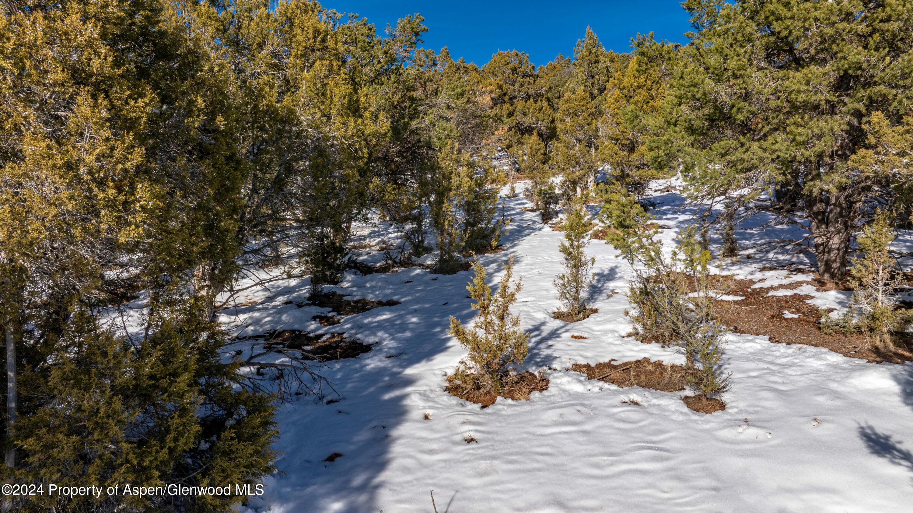 137 Cedar Cove Glenwood Springs CO 81601