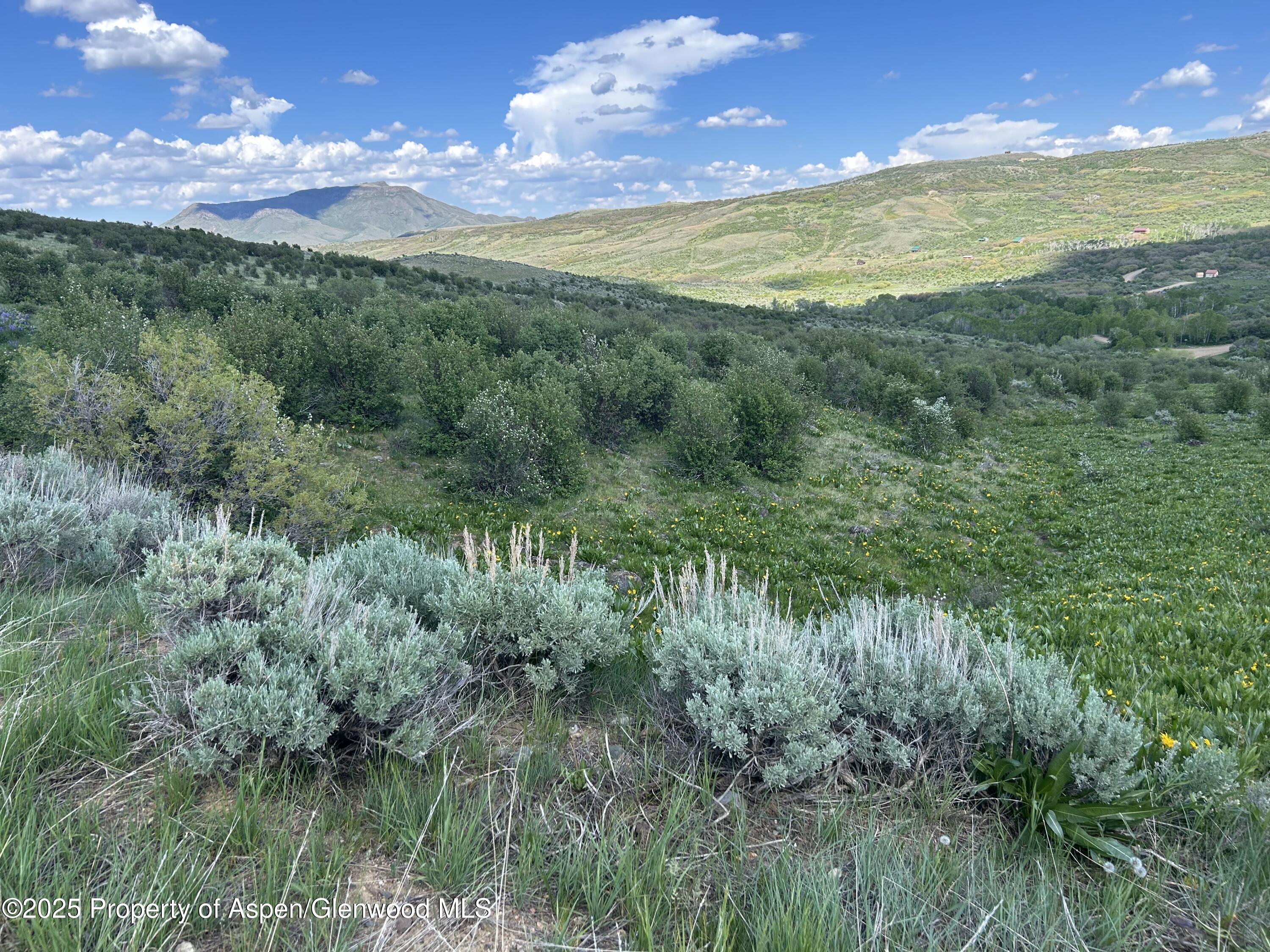 1445 Sprout Drive Craig CO 81625
