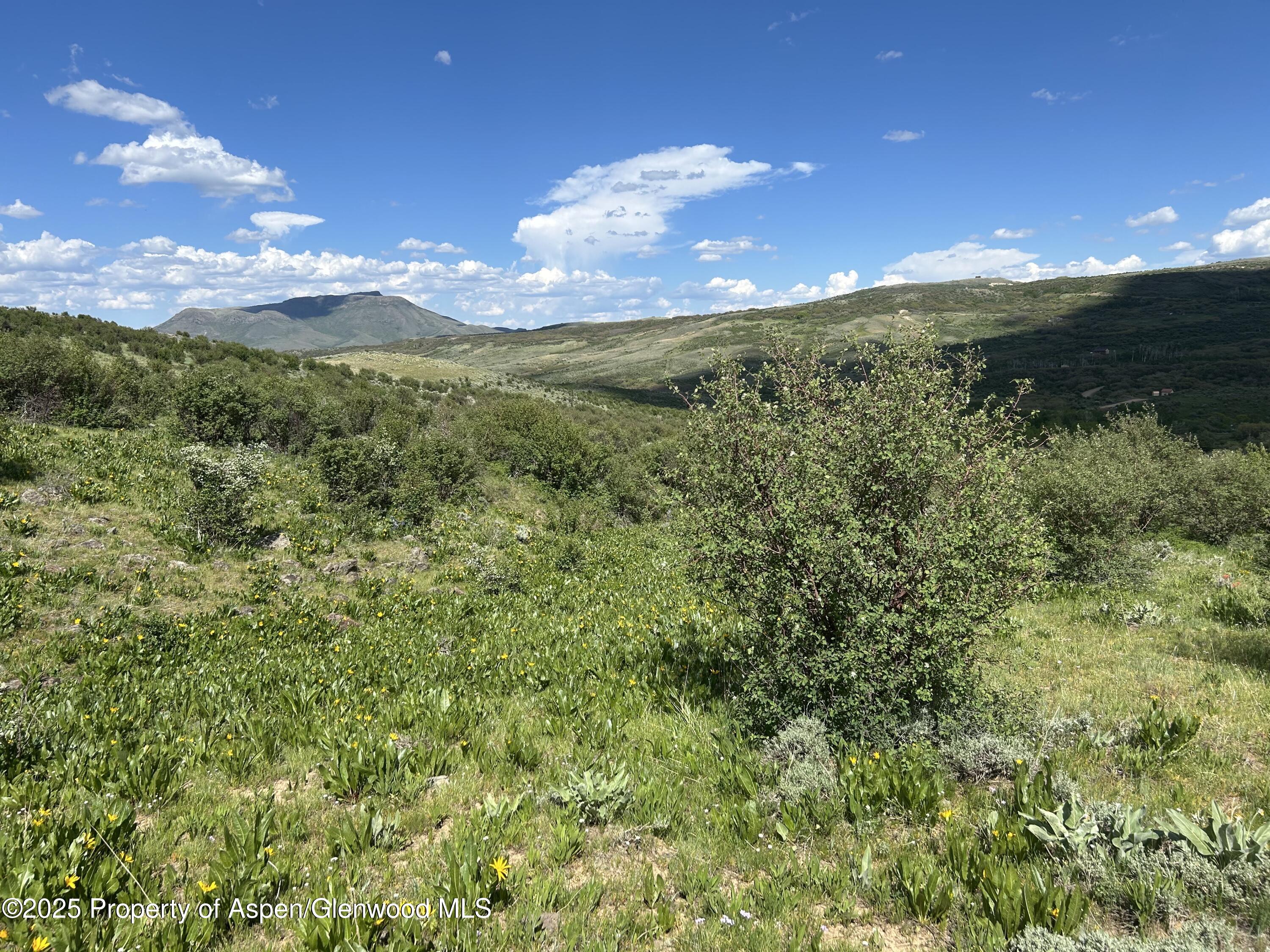 1445 Sprout Drive Craig CO 81625