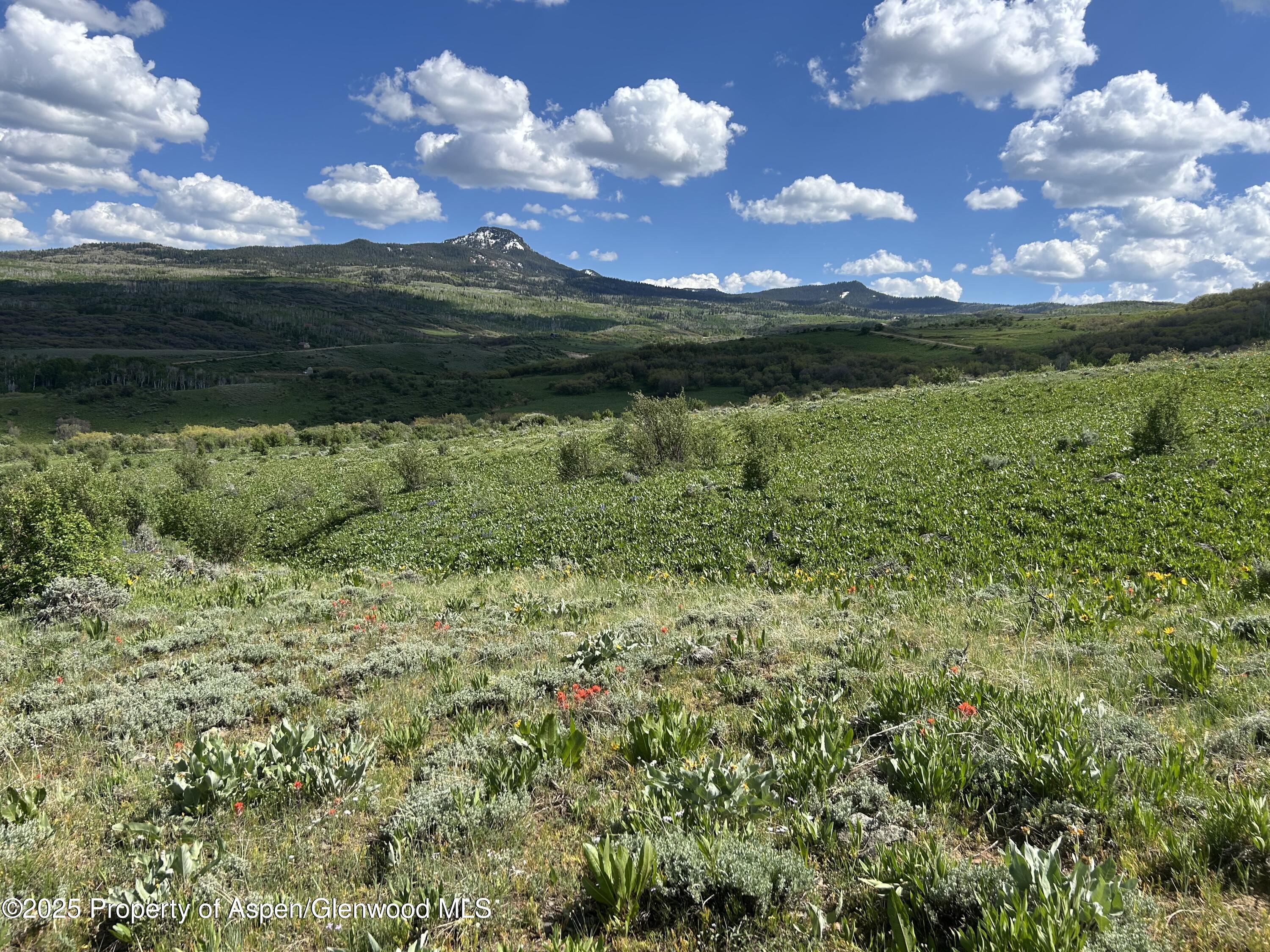 1445 Sprout Drive Craig CO 81625