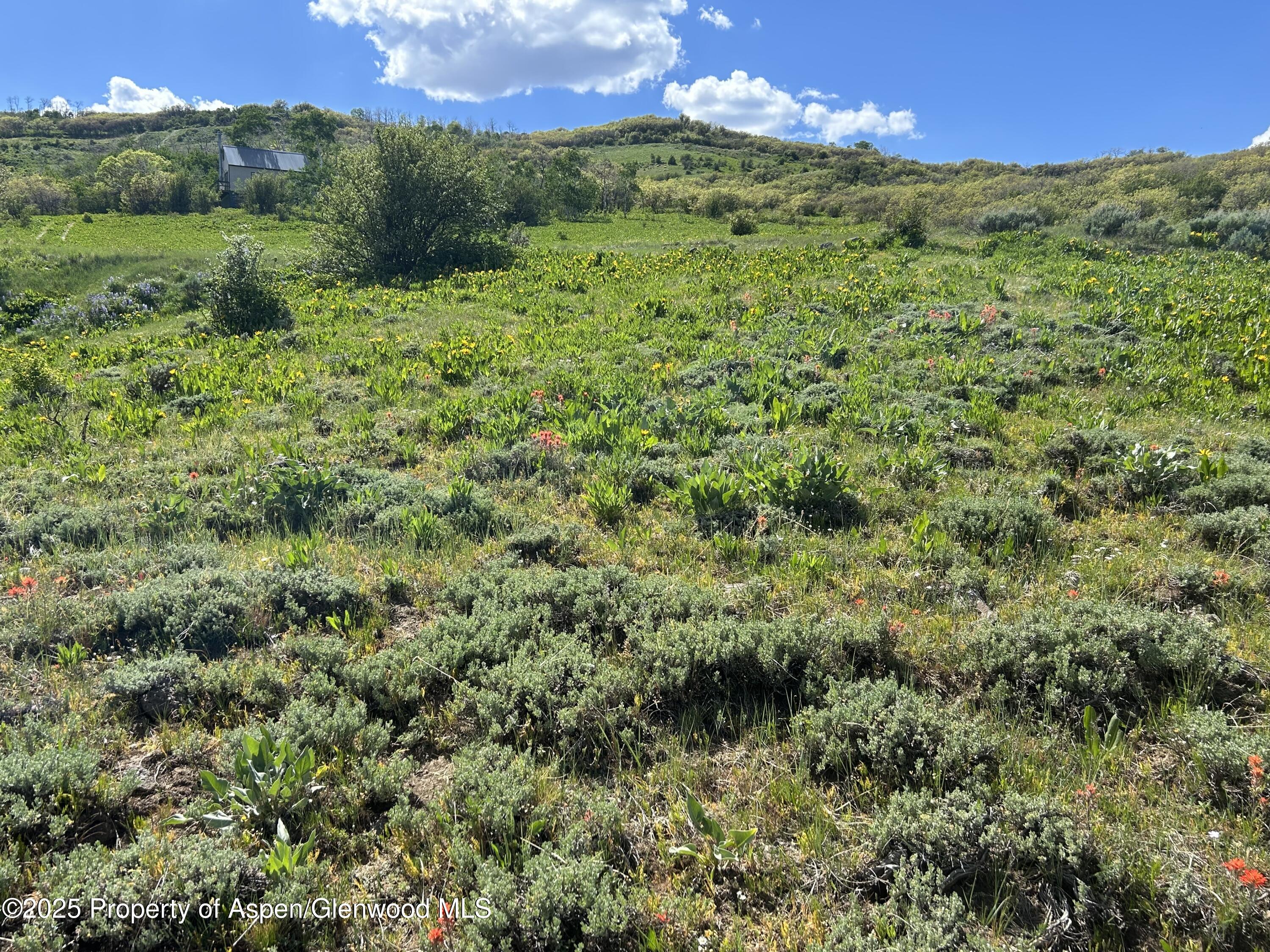 1445 Sprout Drive Craig CO 81625