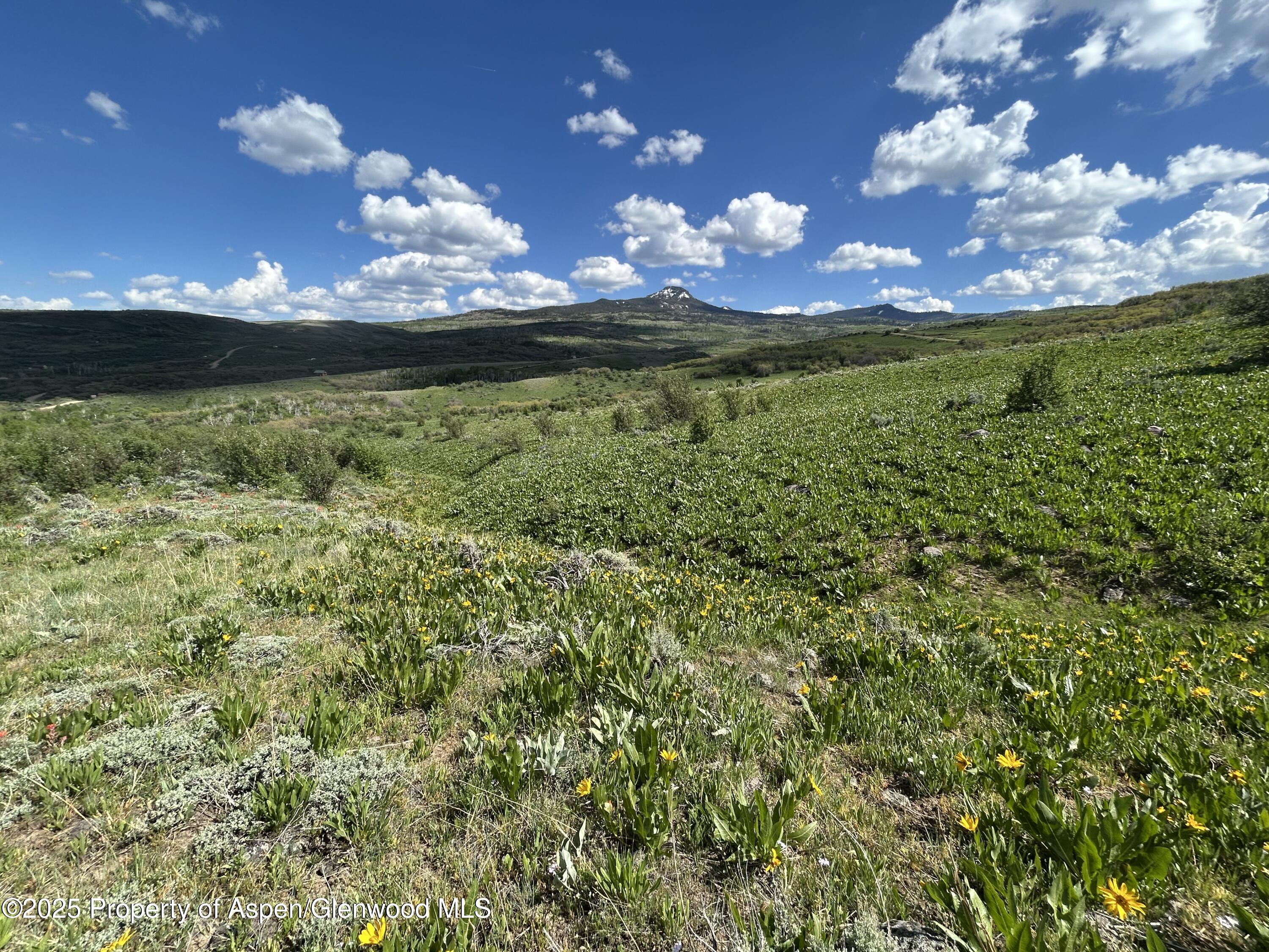1445 Sprout Drive Craig CO 81625