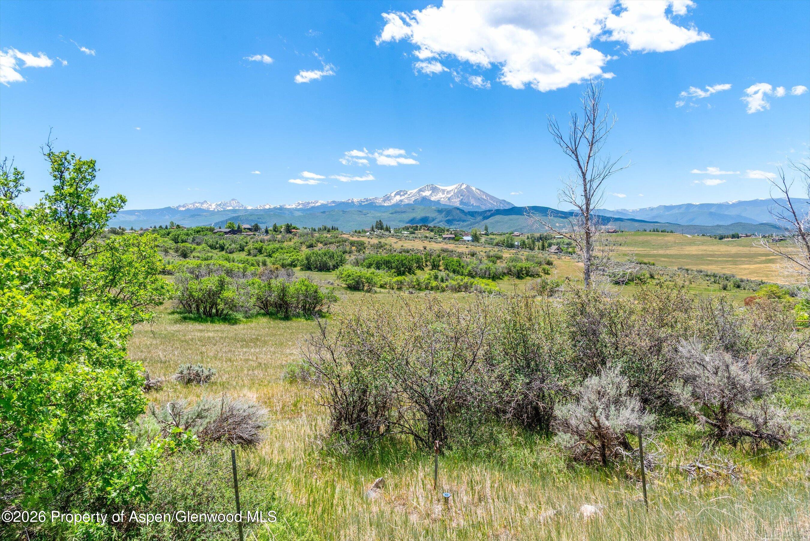 306 Green Meadow Drive Carbondale CO 81623