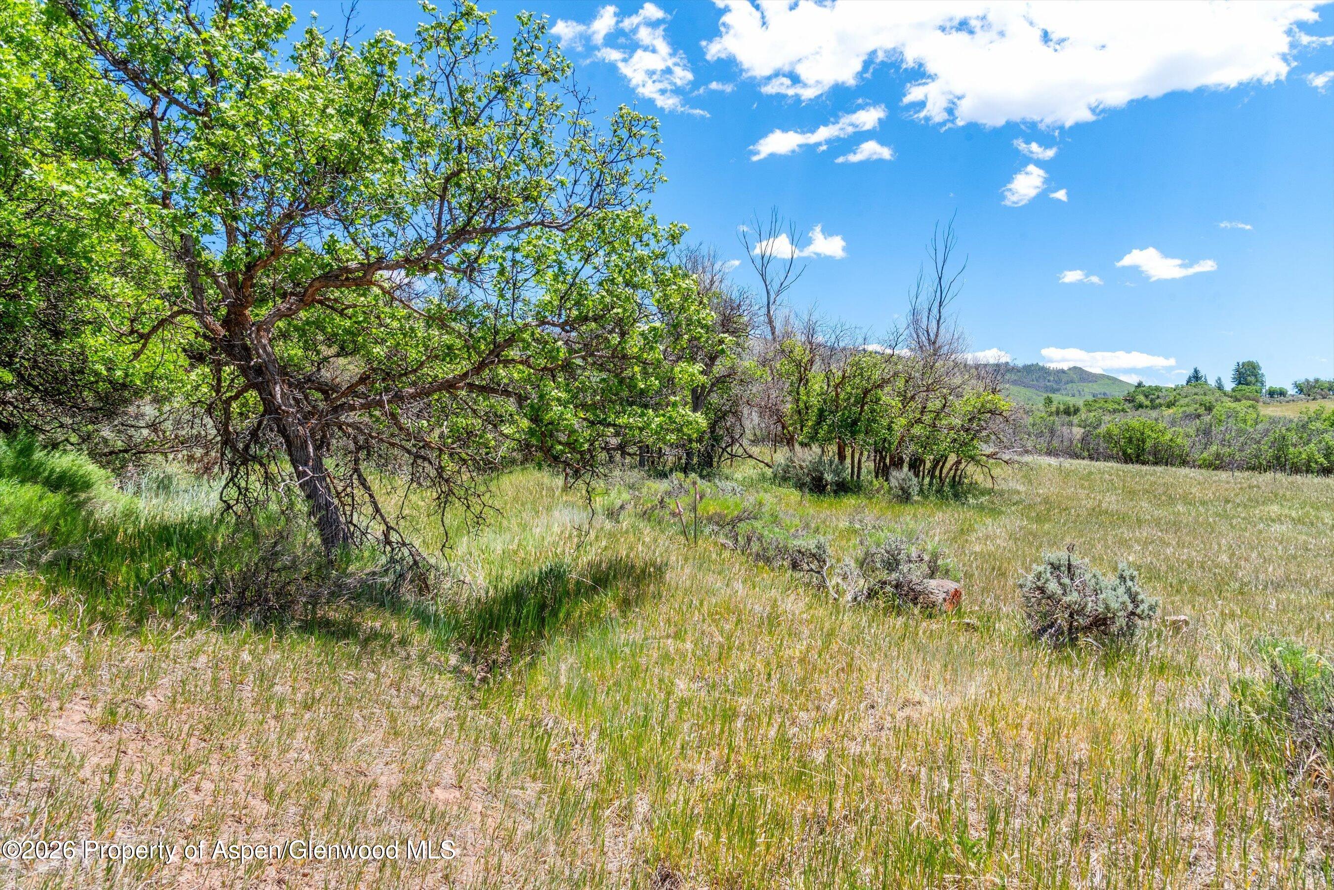 306 Green Meadow Drive Carbondale CO 81623