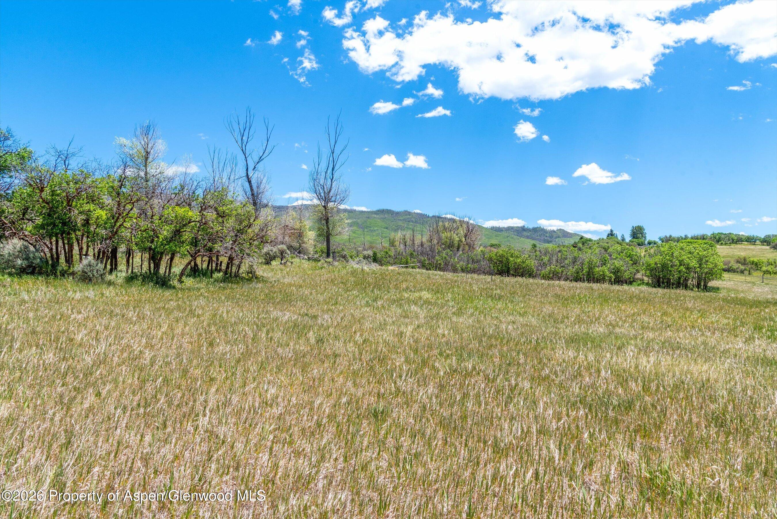 306 Green Meadow Drive Carbondale CO 81623