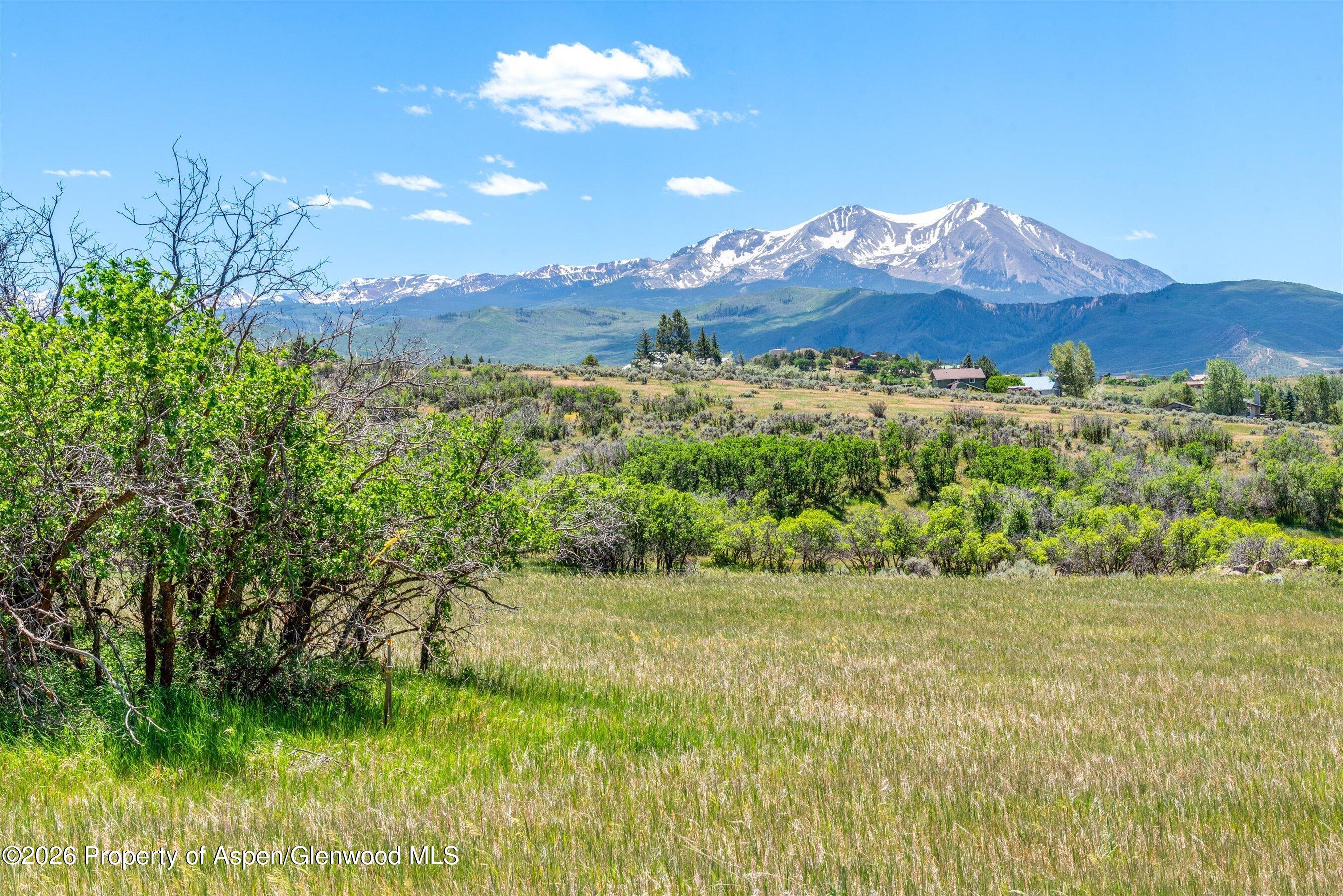 306 Green Meadow Drive Carbondale CO 81623