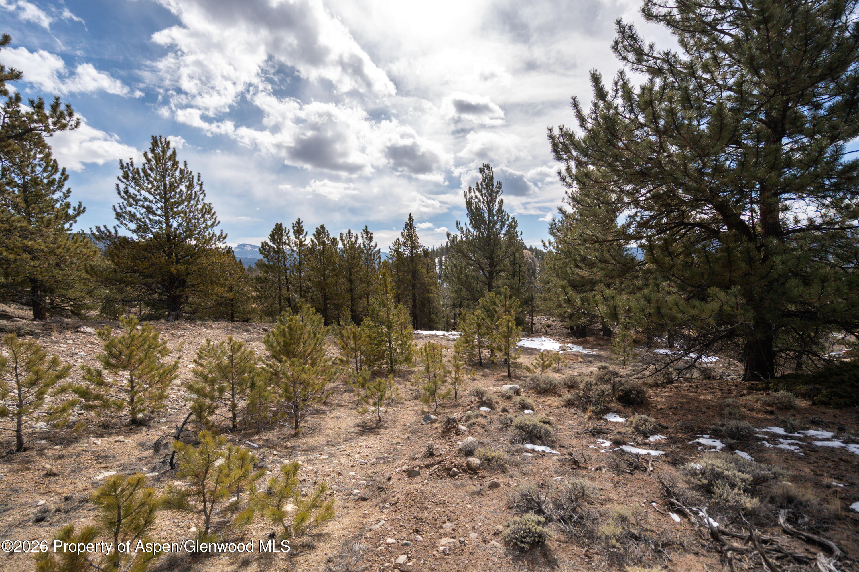 104 Northview Drive Twin Lakes CO 81251
