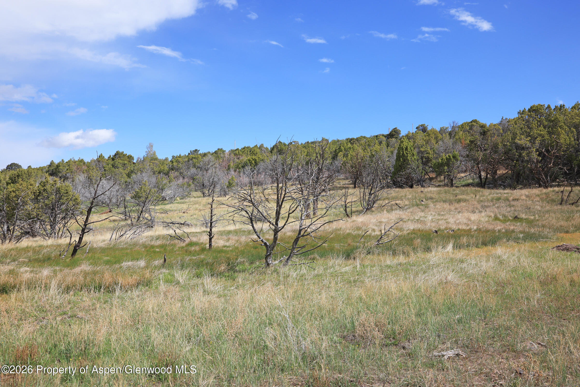 12705 55 Road Collbran CO 81624