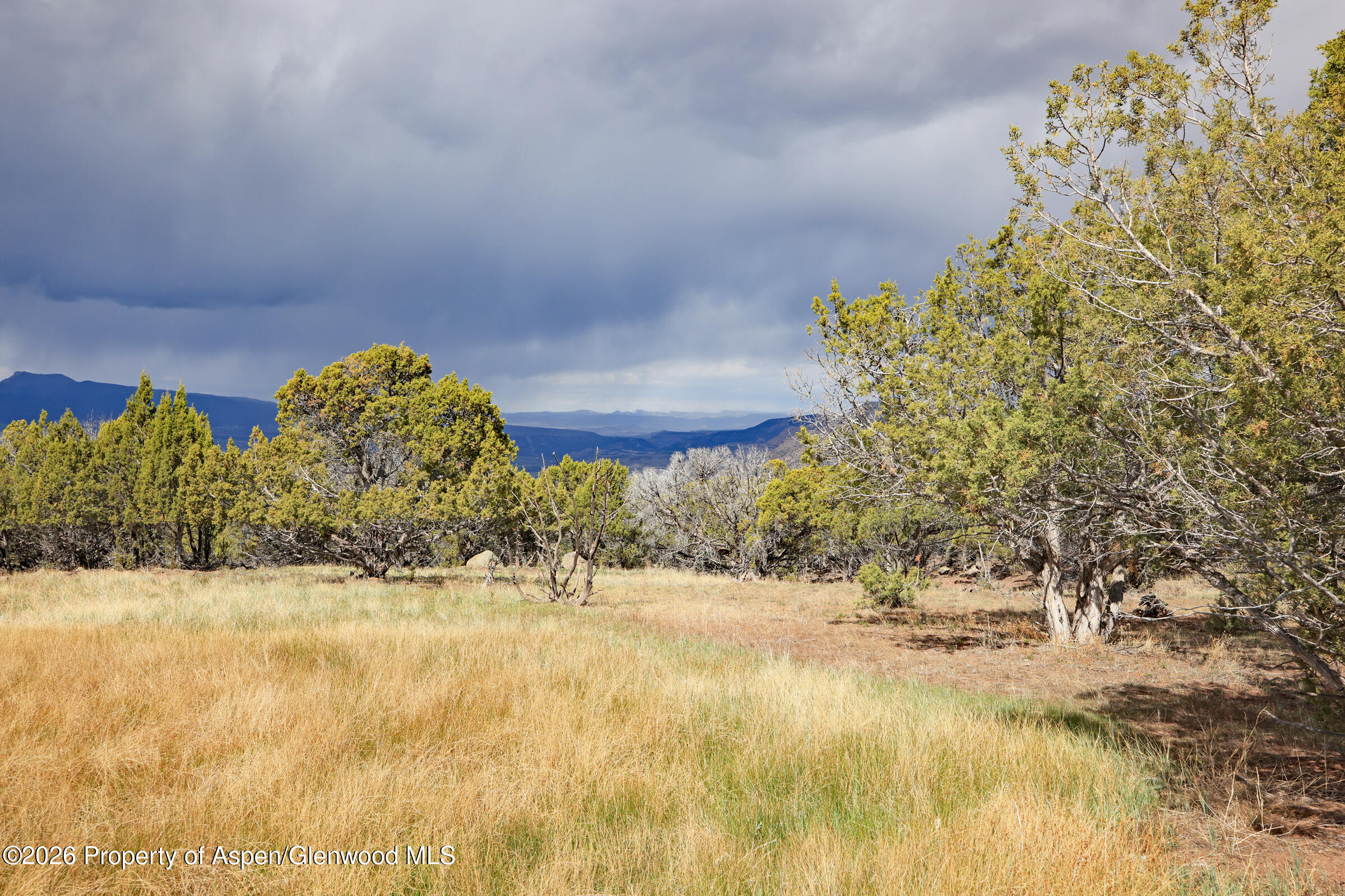 12705 55 Road Collbran CO 81624