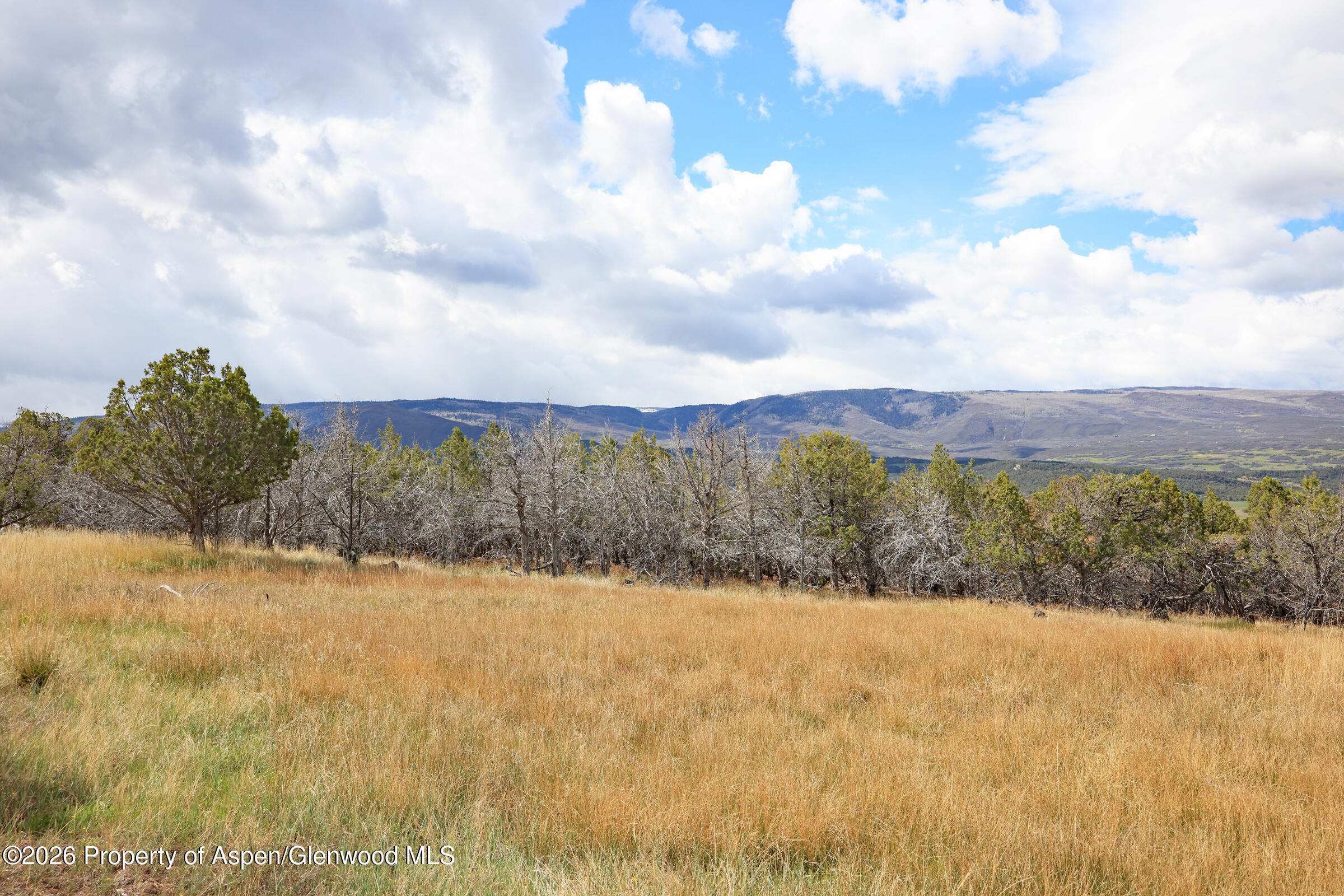 12705 55 Road Collbran CO 81624