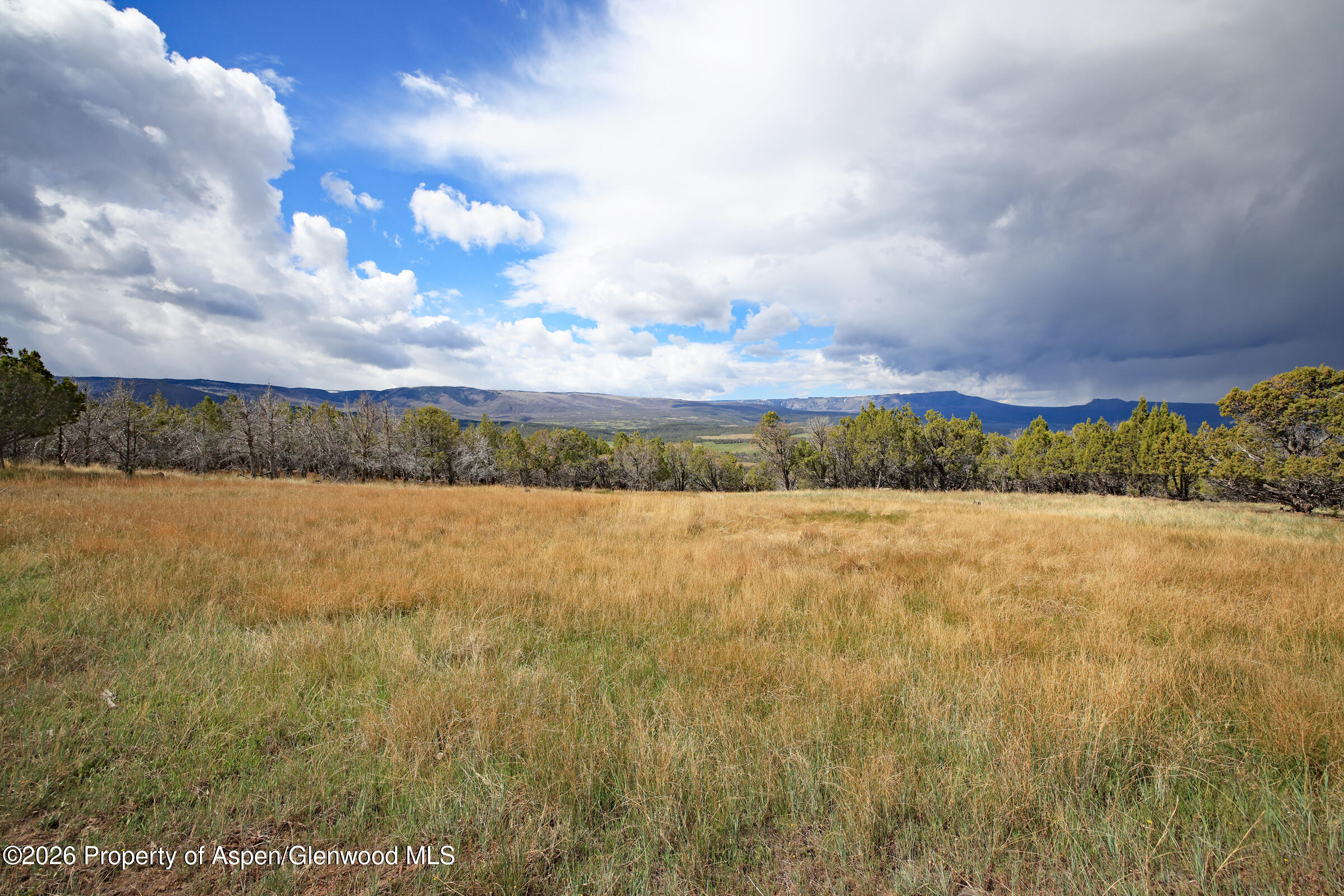 12705 55 Road Collbran CO 81624