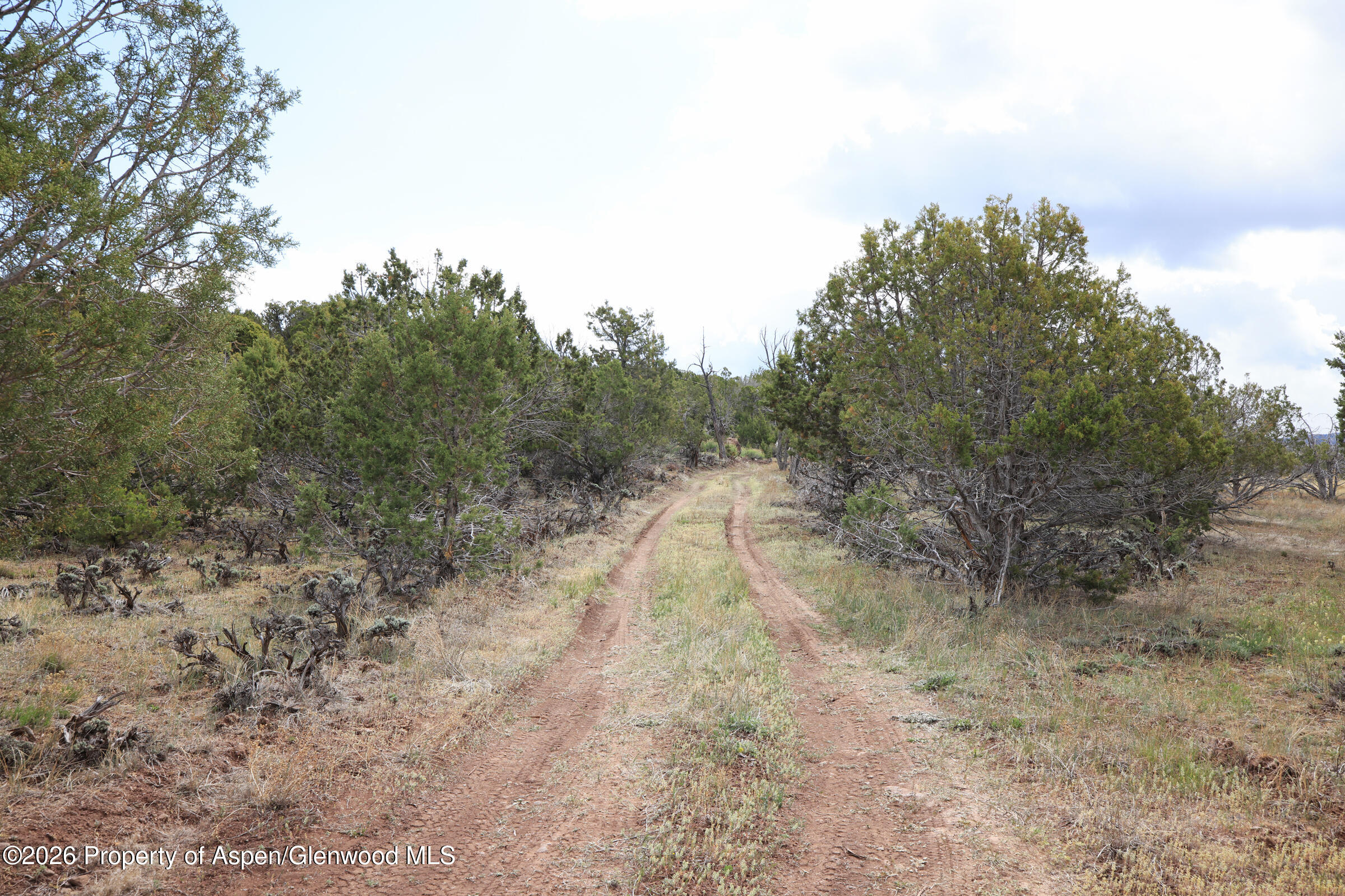 12705 55 Road Collbran CO 81624