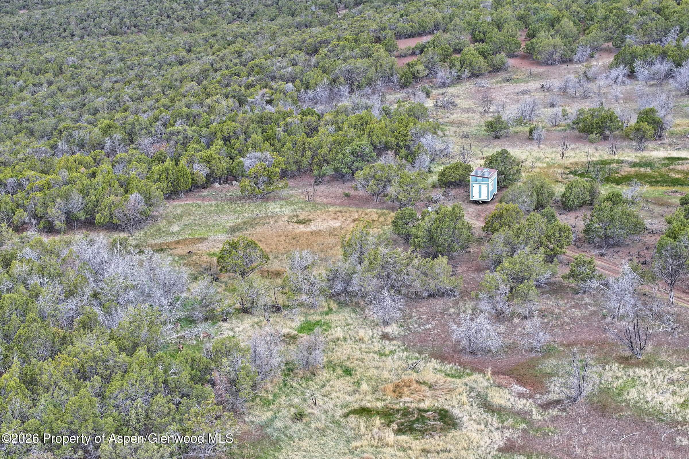 12705 55 Road Collbran CO 81624