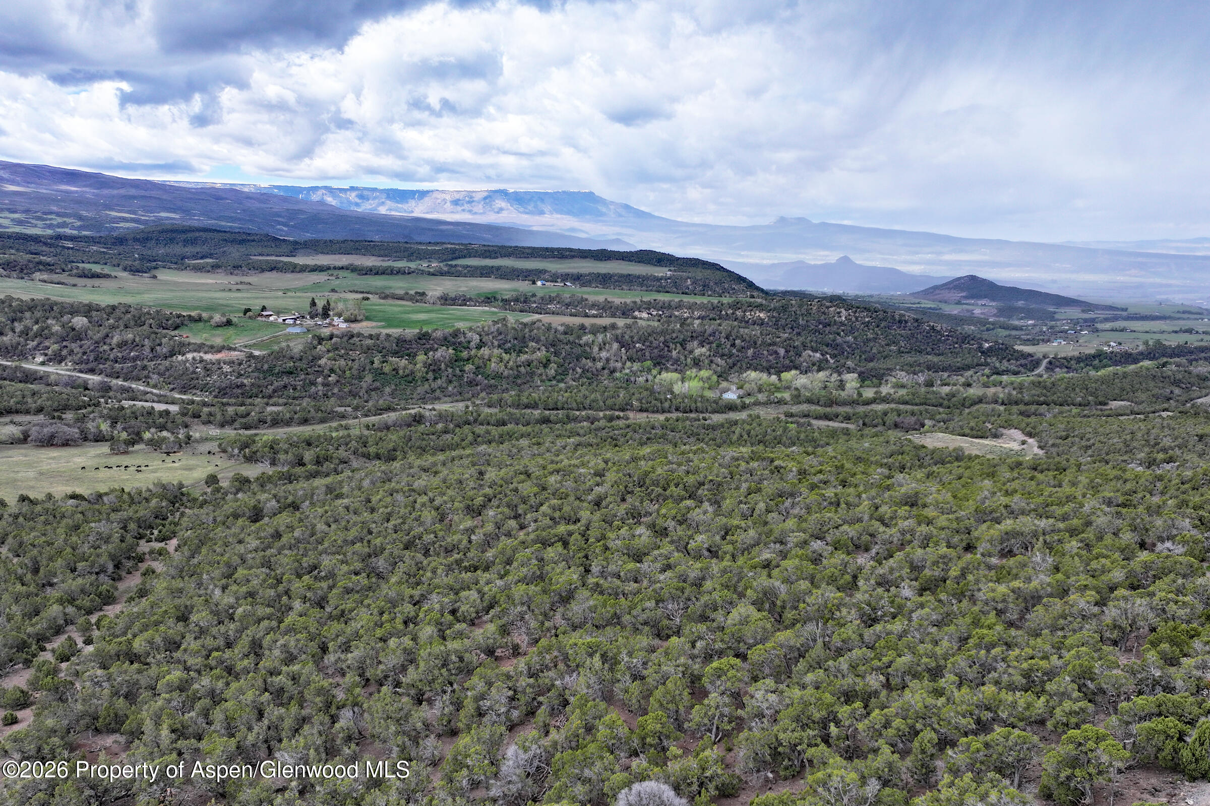 12705 55 Road Collbran CO 81624