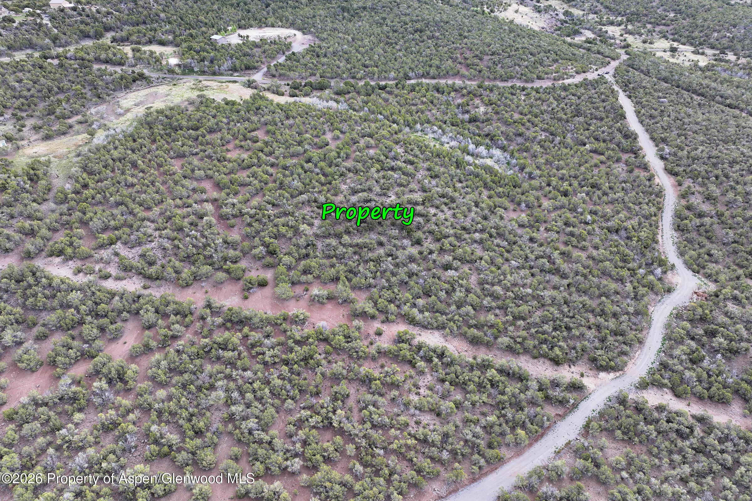 12705 55 Road Collbran CO 81624