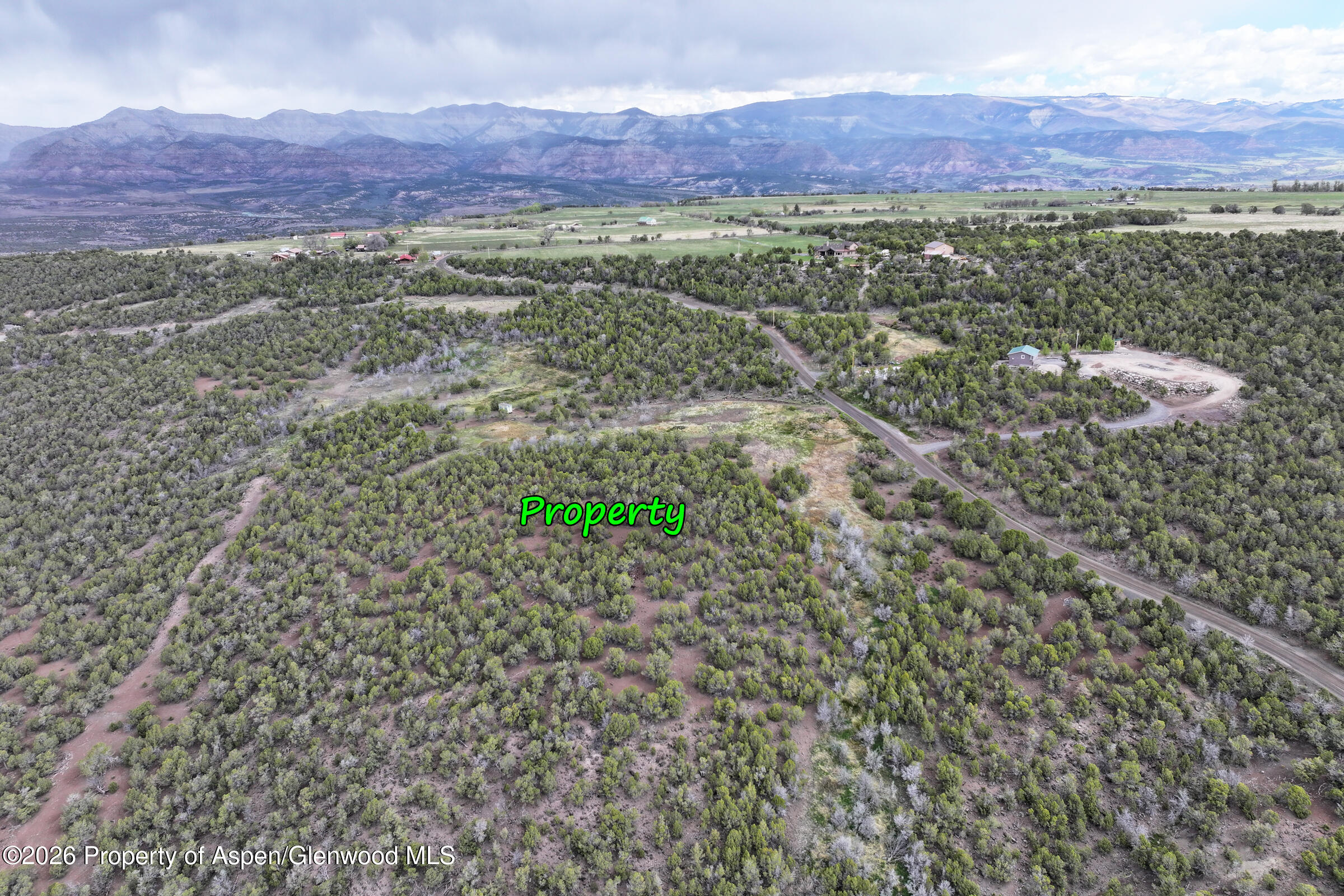 12705 55 Road Collbran CO 81624