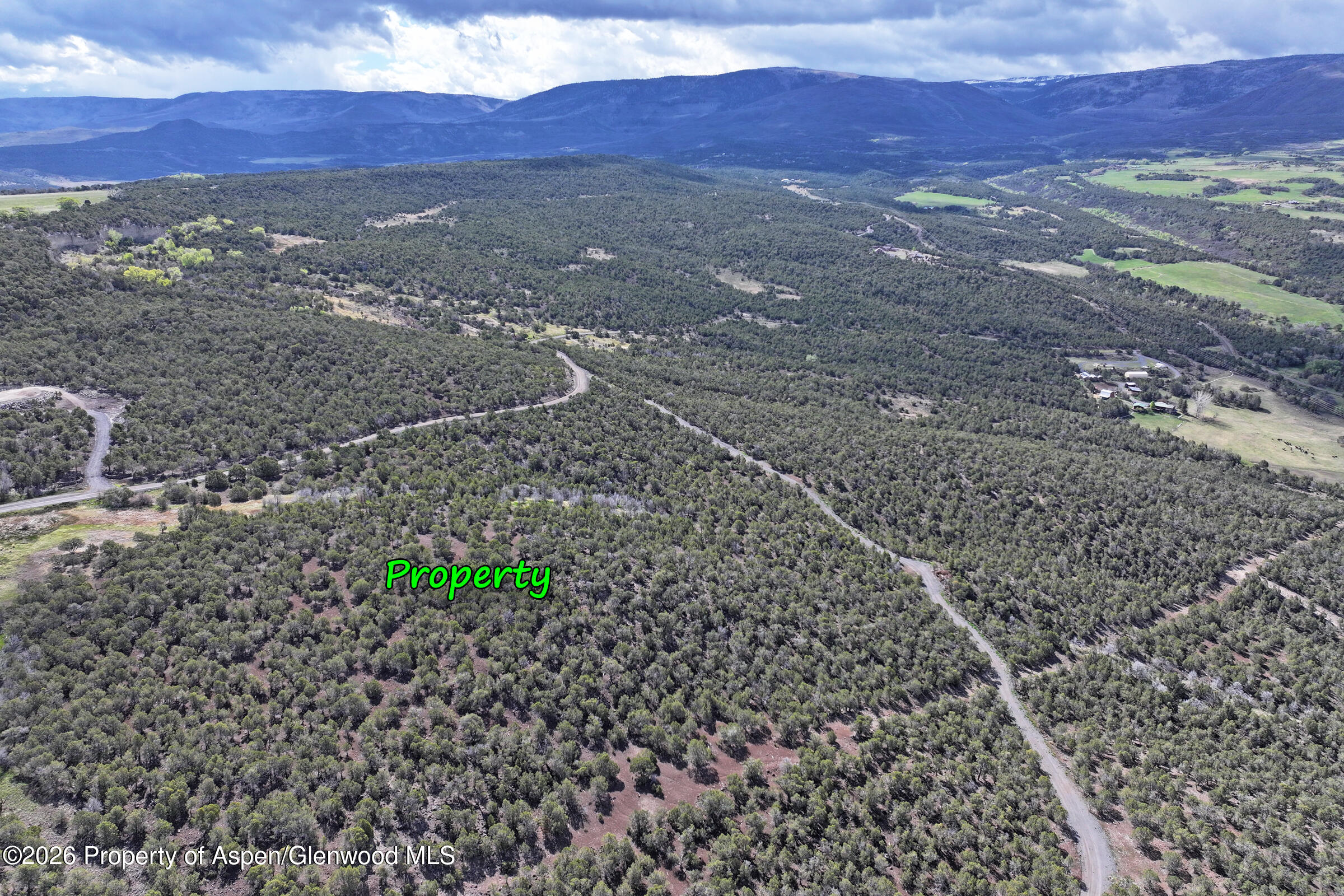 12705 55 Road Collbran CO 81624