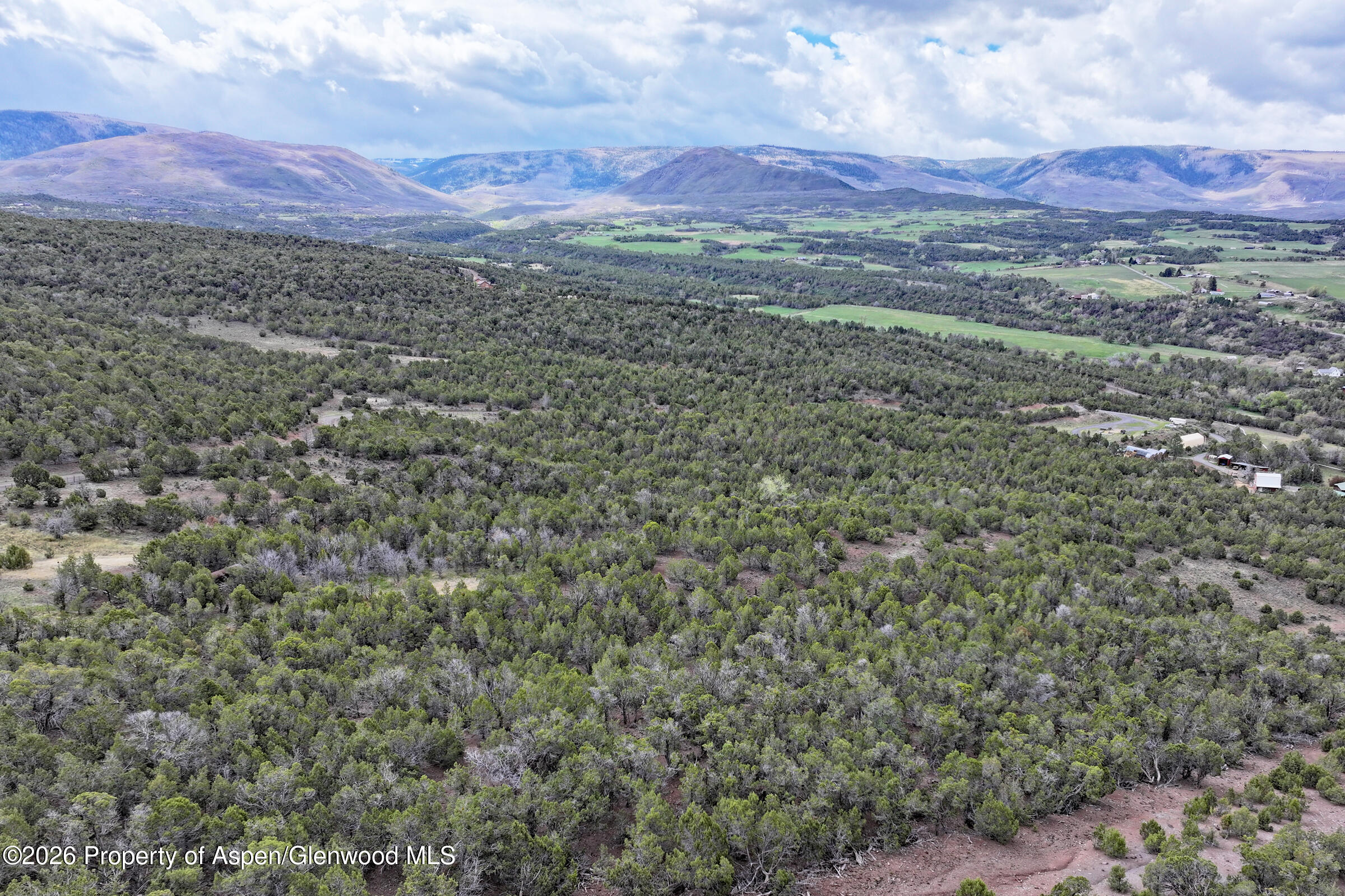 12705 55 Road Collbran CO 81624