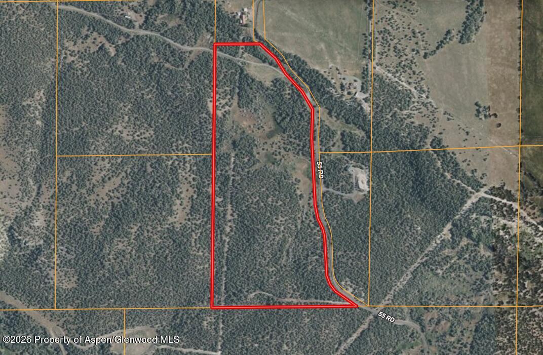12705 55 Road Collbran CO 81624
